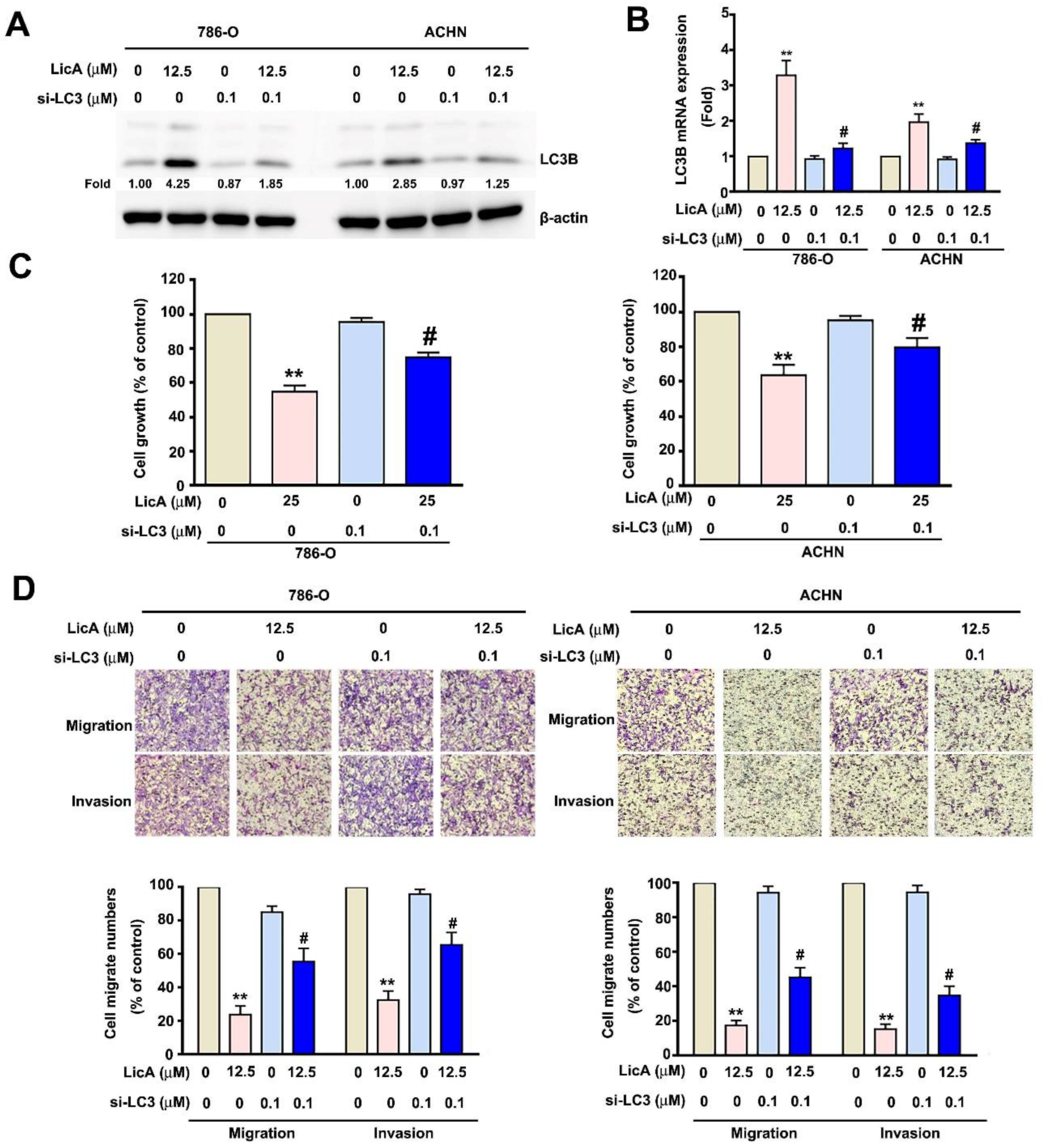 Pharmaceutics 15 00684 g004 Pharmaceutics 15 00684 g004