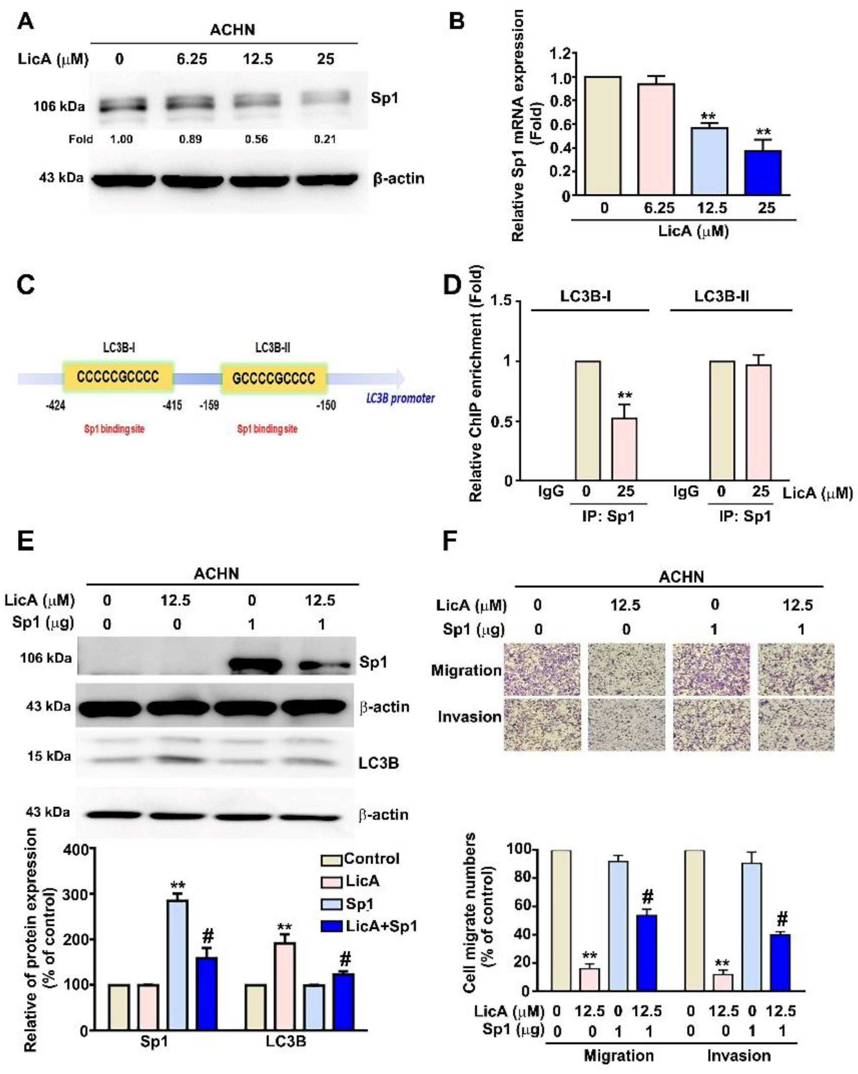 Pharmaceutics 15 00684 g005 Pharmaceutics 15 00684 g005