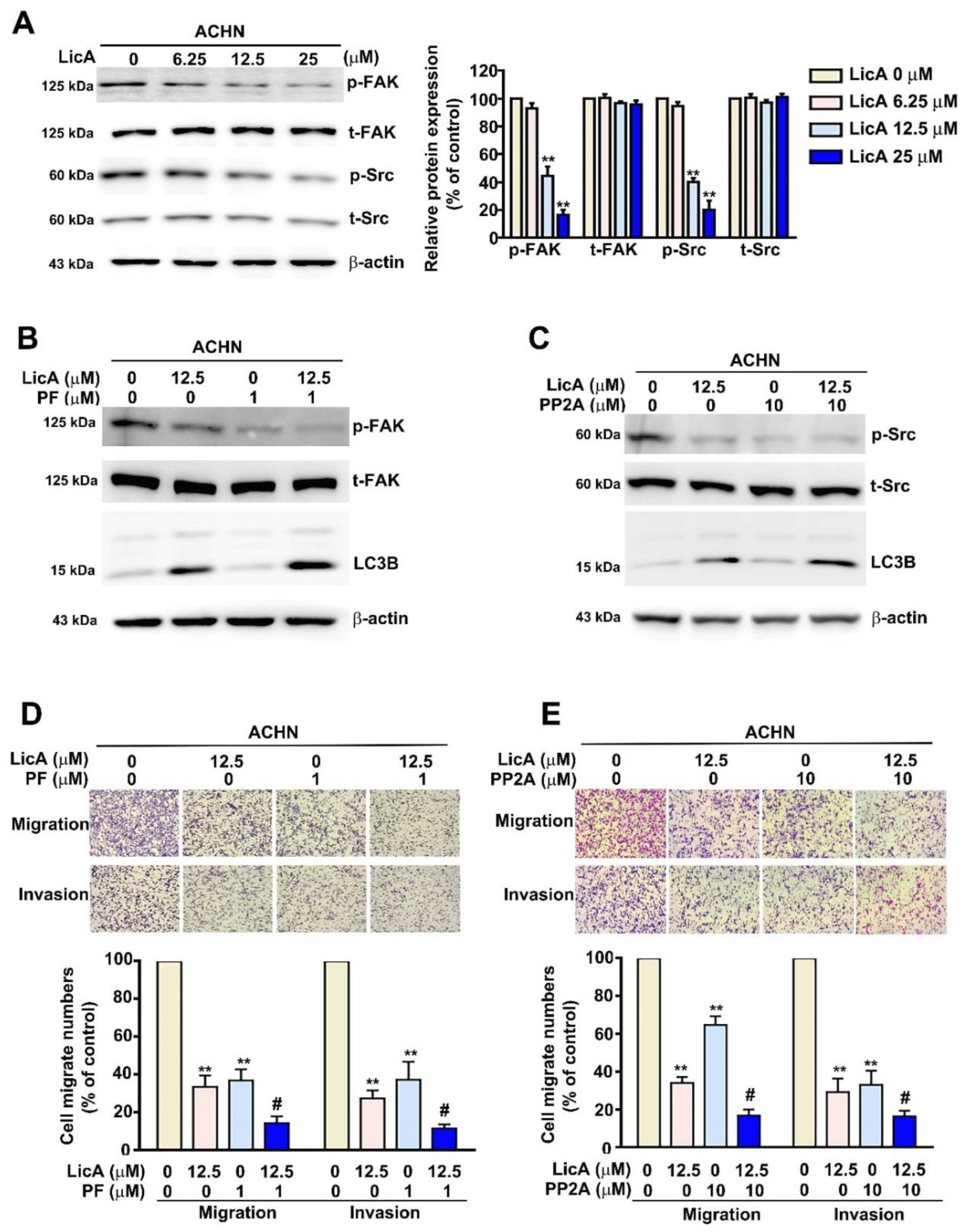 Pharmaceutics 15 00684 g006 Pharmaceutics 15 00684 g006