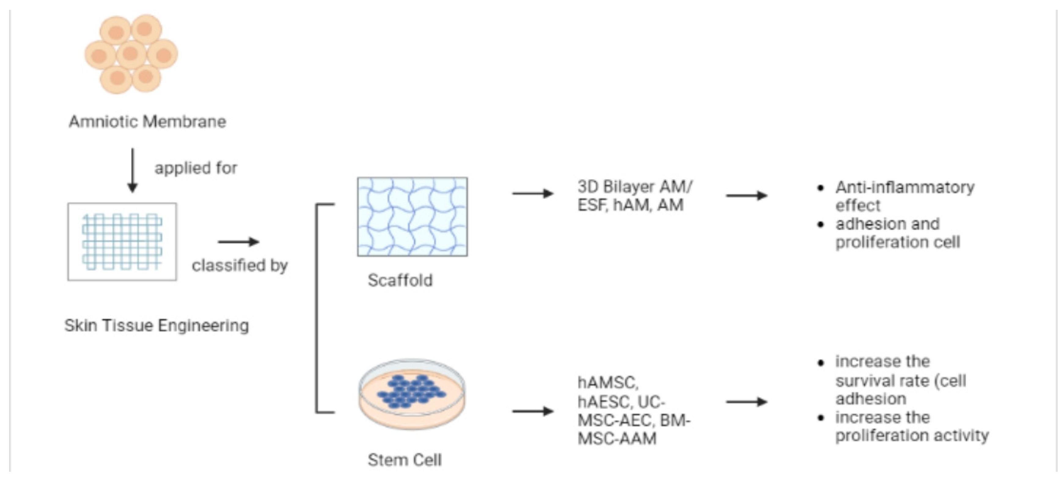 Pharmaceutics 15 00748 g003