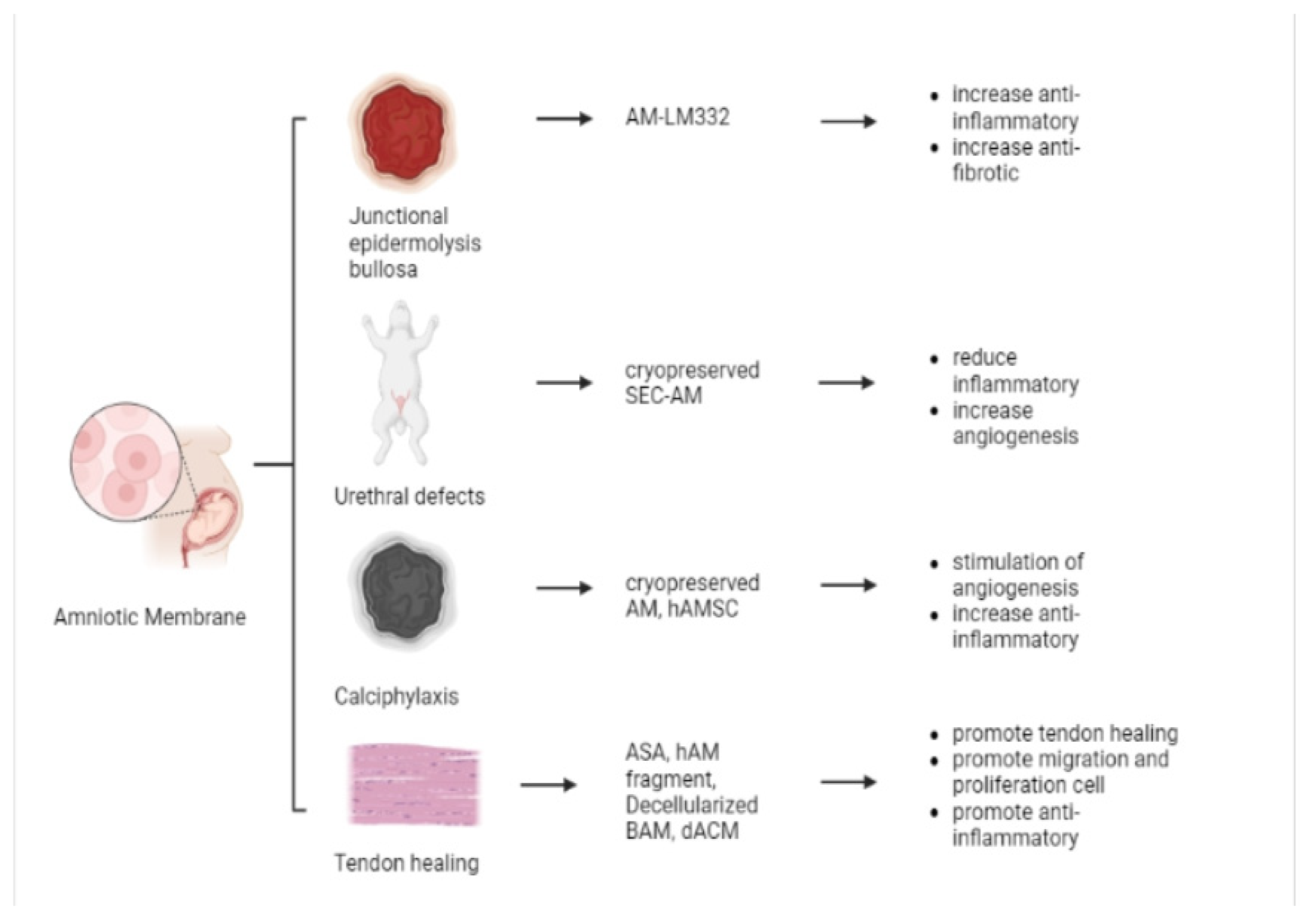 Pharmaceutics 15 00748 g004