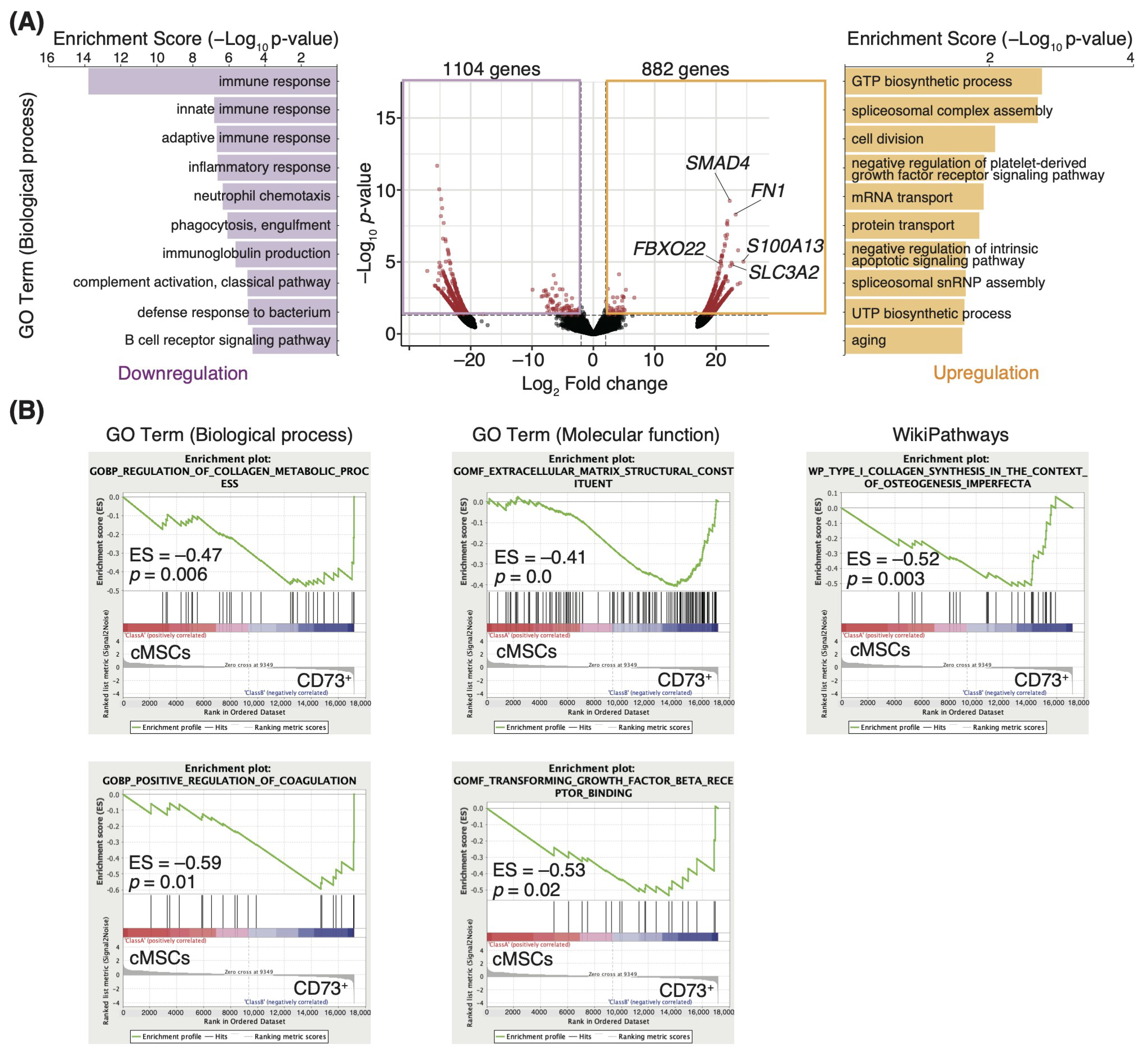 Pharmaceutics 15 00845 g002