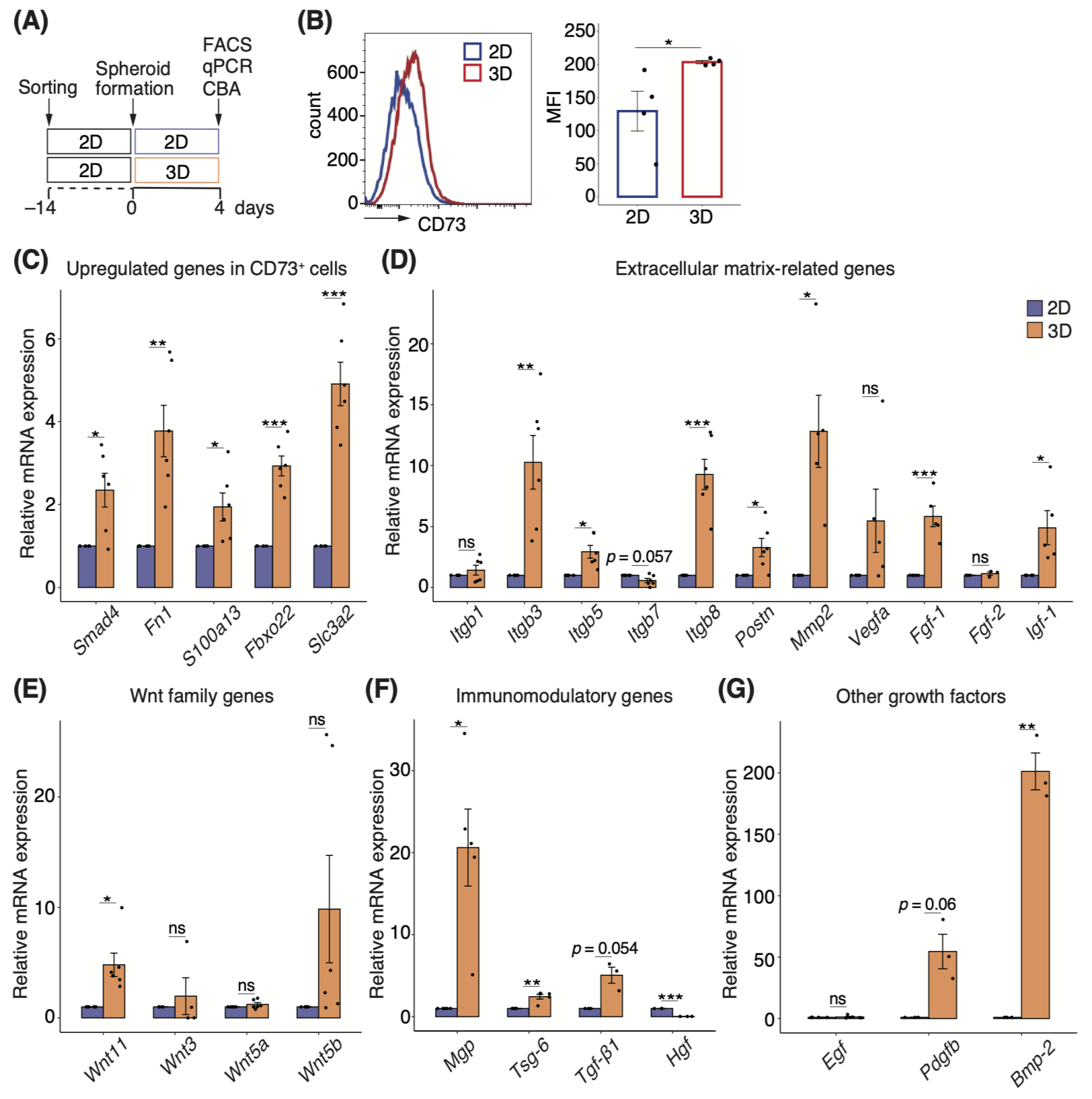 Pharmaceutics 15 00845 g004