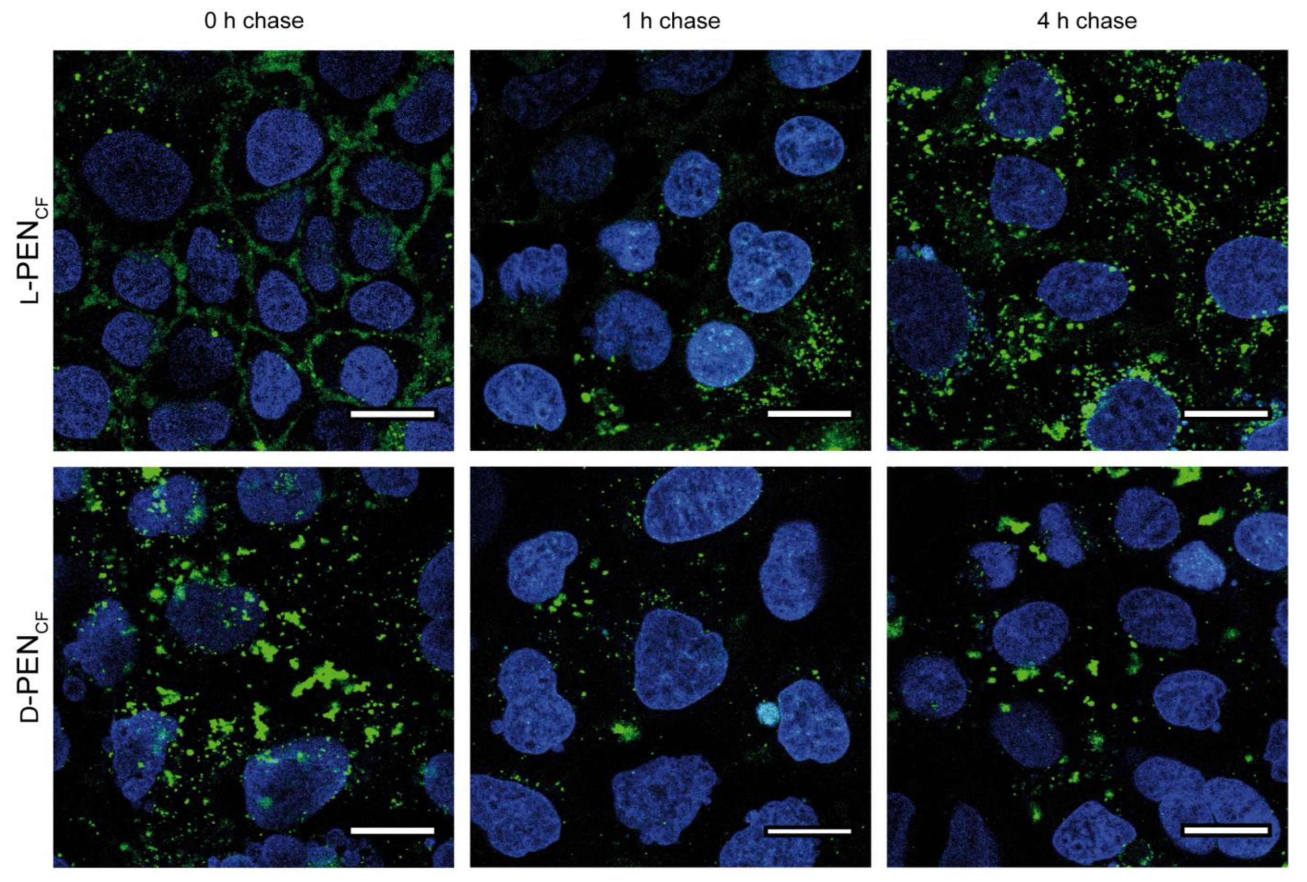 Pharmaceutics 15 01672 g002