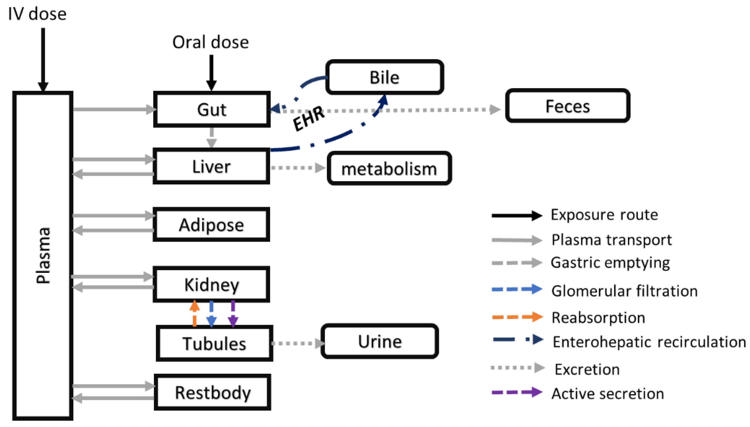 Pharmaceutics 15 02199 g001