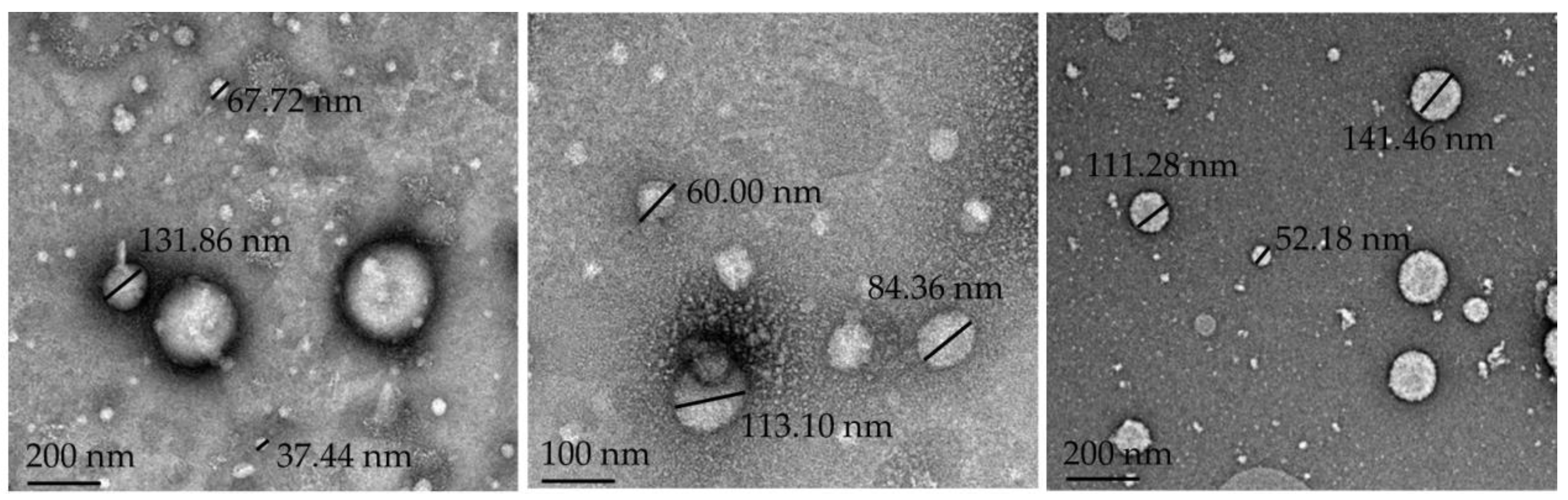 Pharmaceutics 15 02413 g001