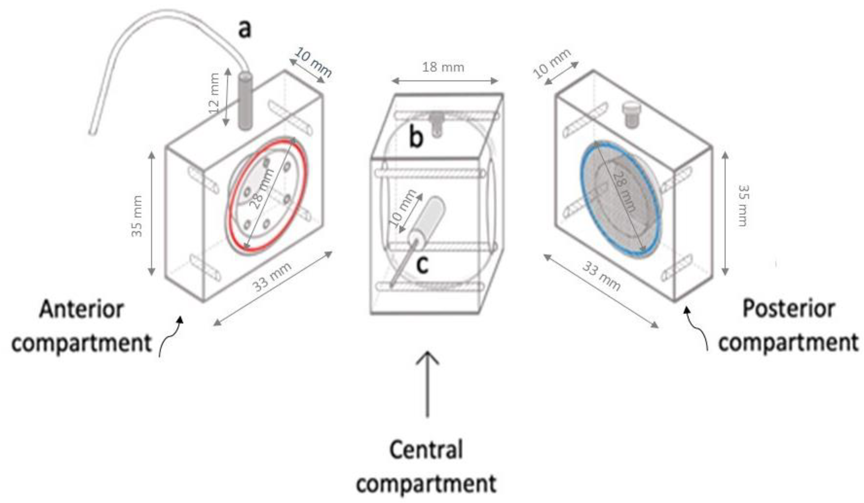 Pharmaceutics 15 02472 g001