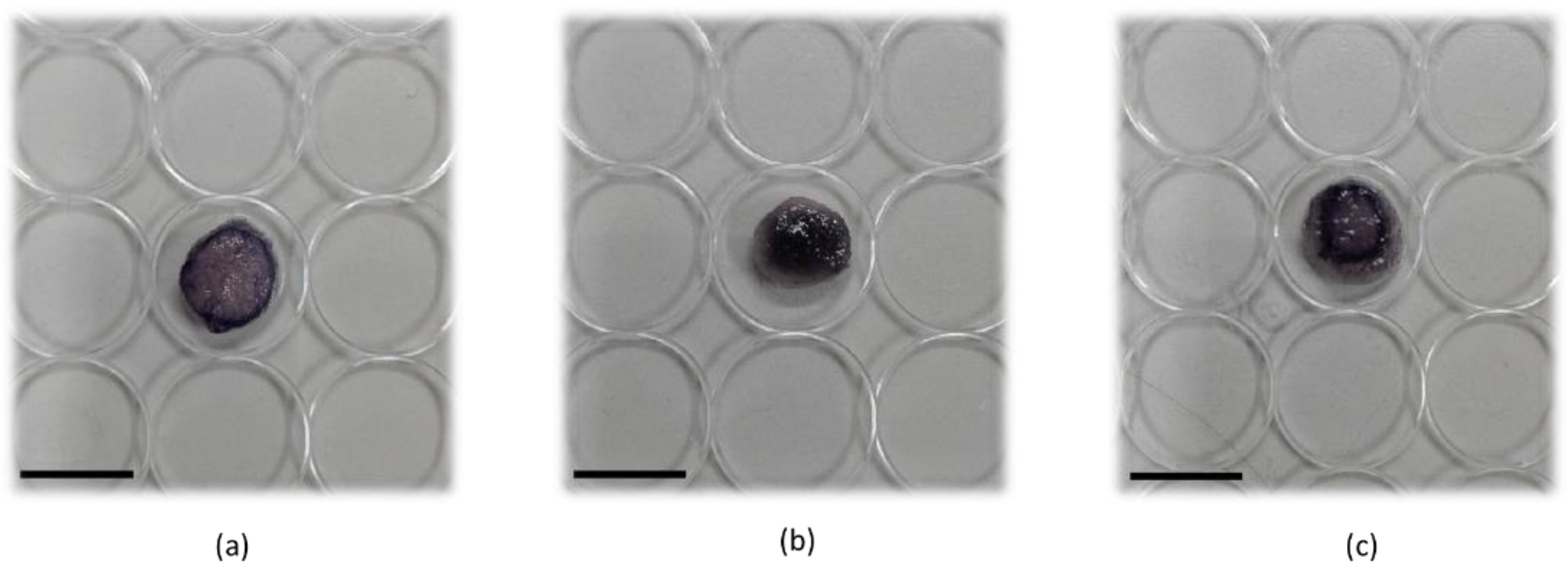 Pharmaceutics 15 02472 g004
