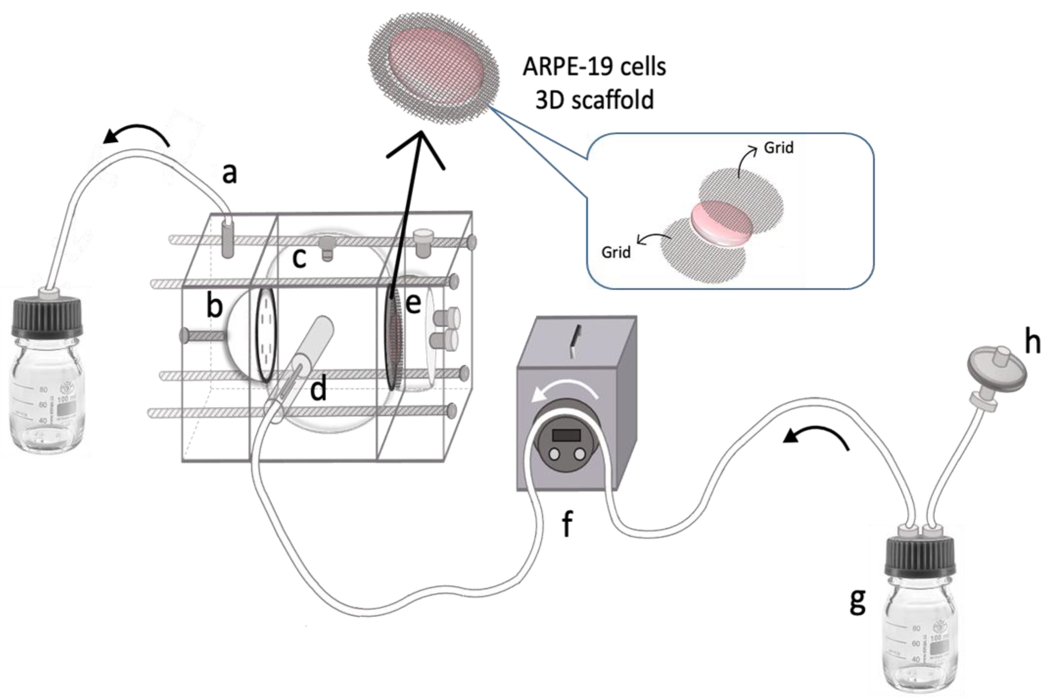 Pharmaceutics 15 02472 g005
