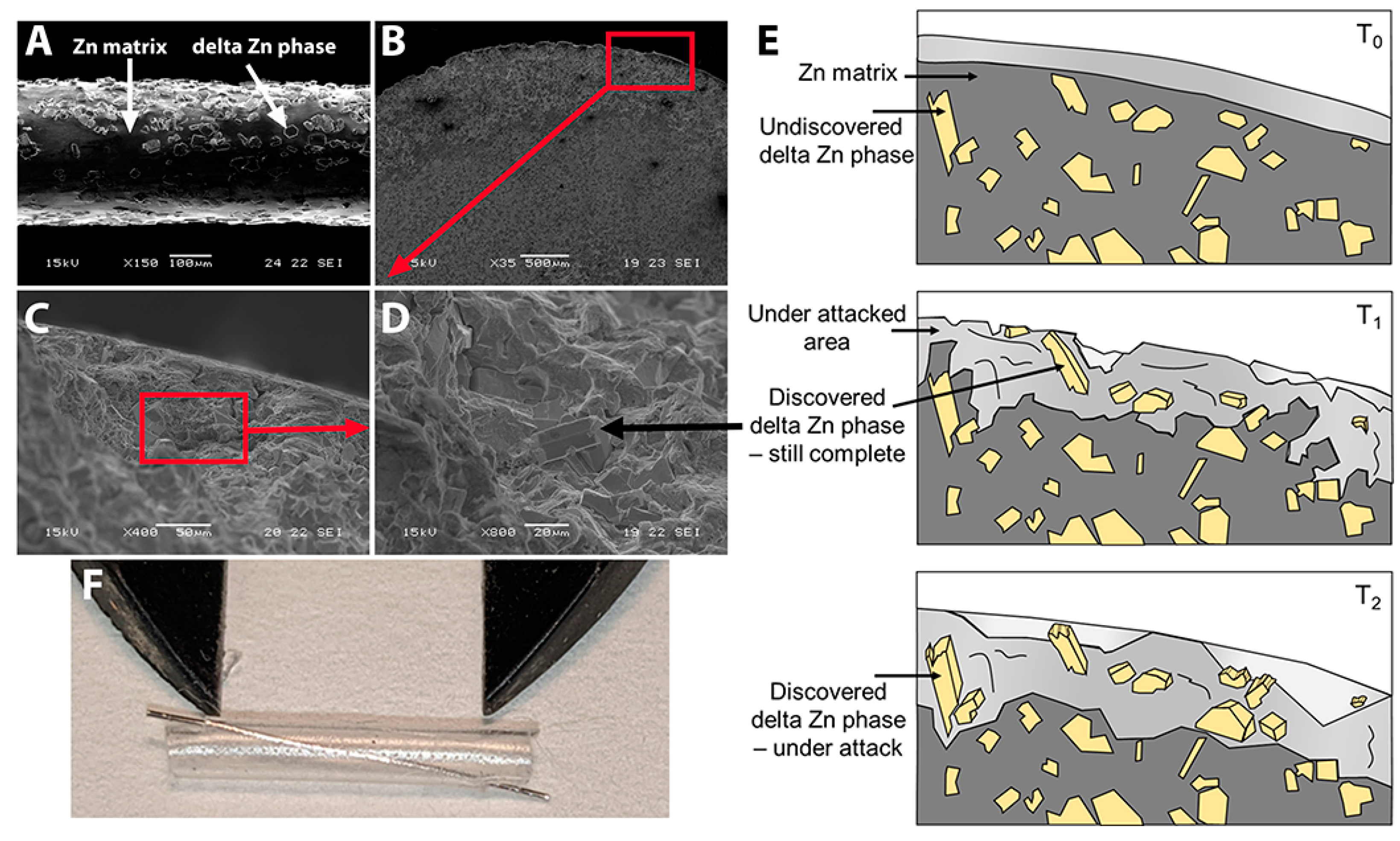 Pharmaceutics 15 02595 g001