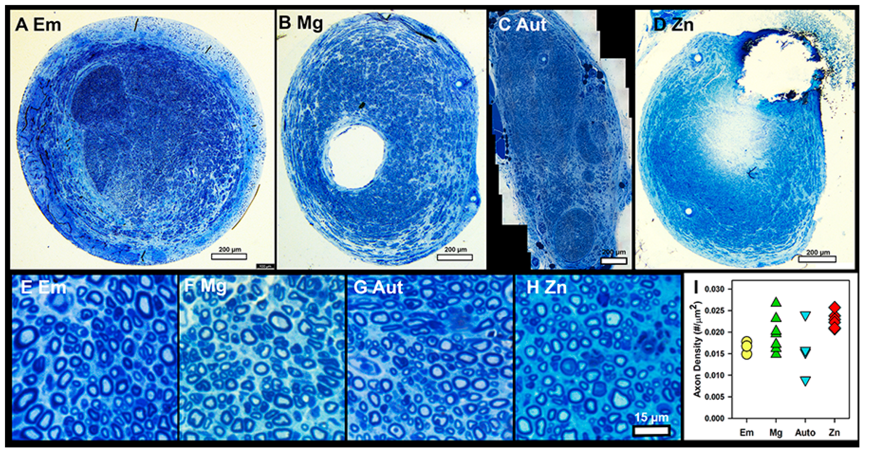 Pharmaceutics 15 02595 g006