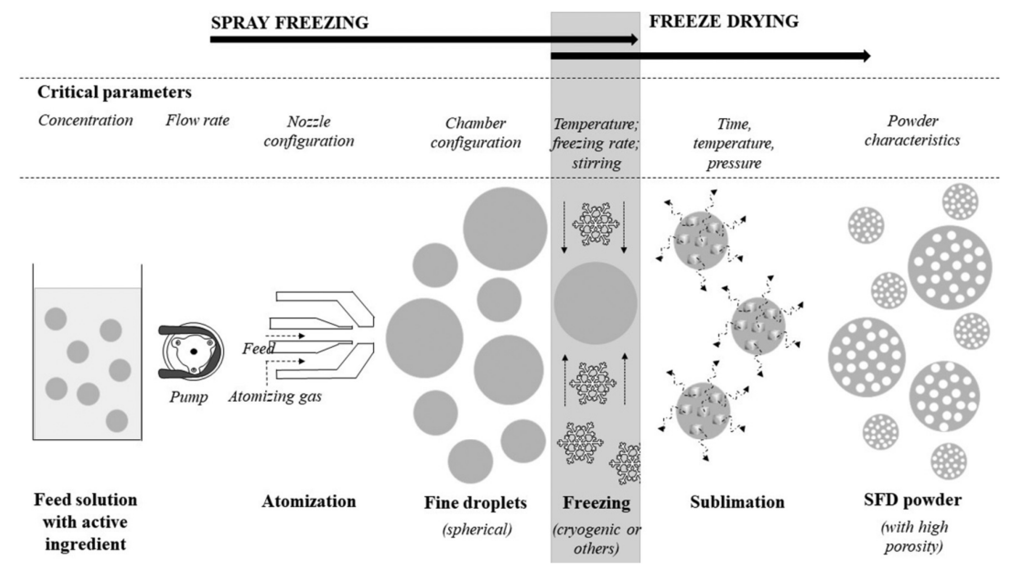 Pharmaceutics 15 02706 g005
