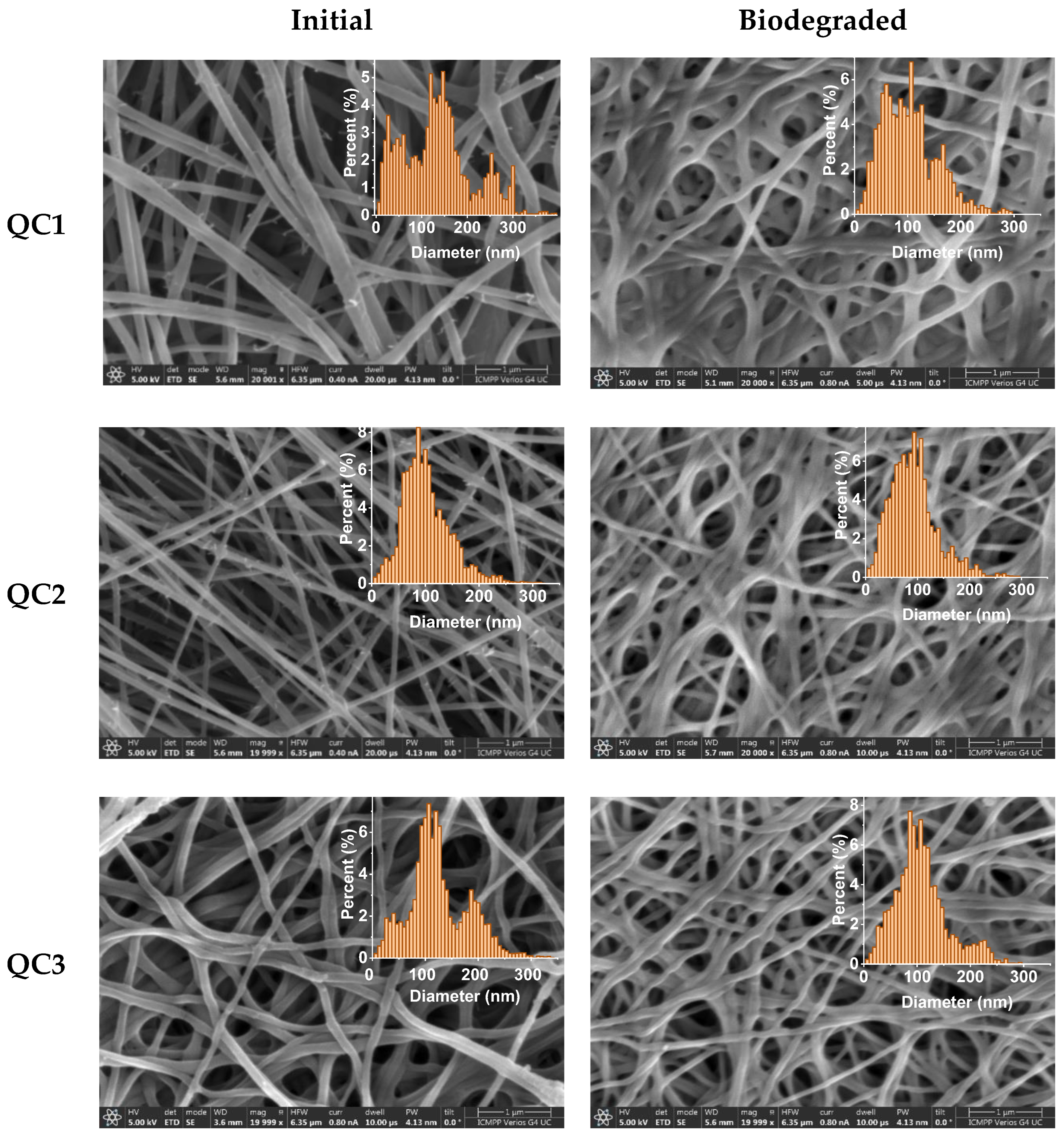 Pharmaceutics 15 02722 g012a