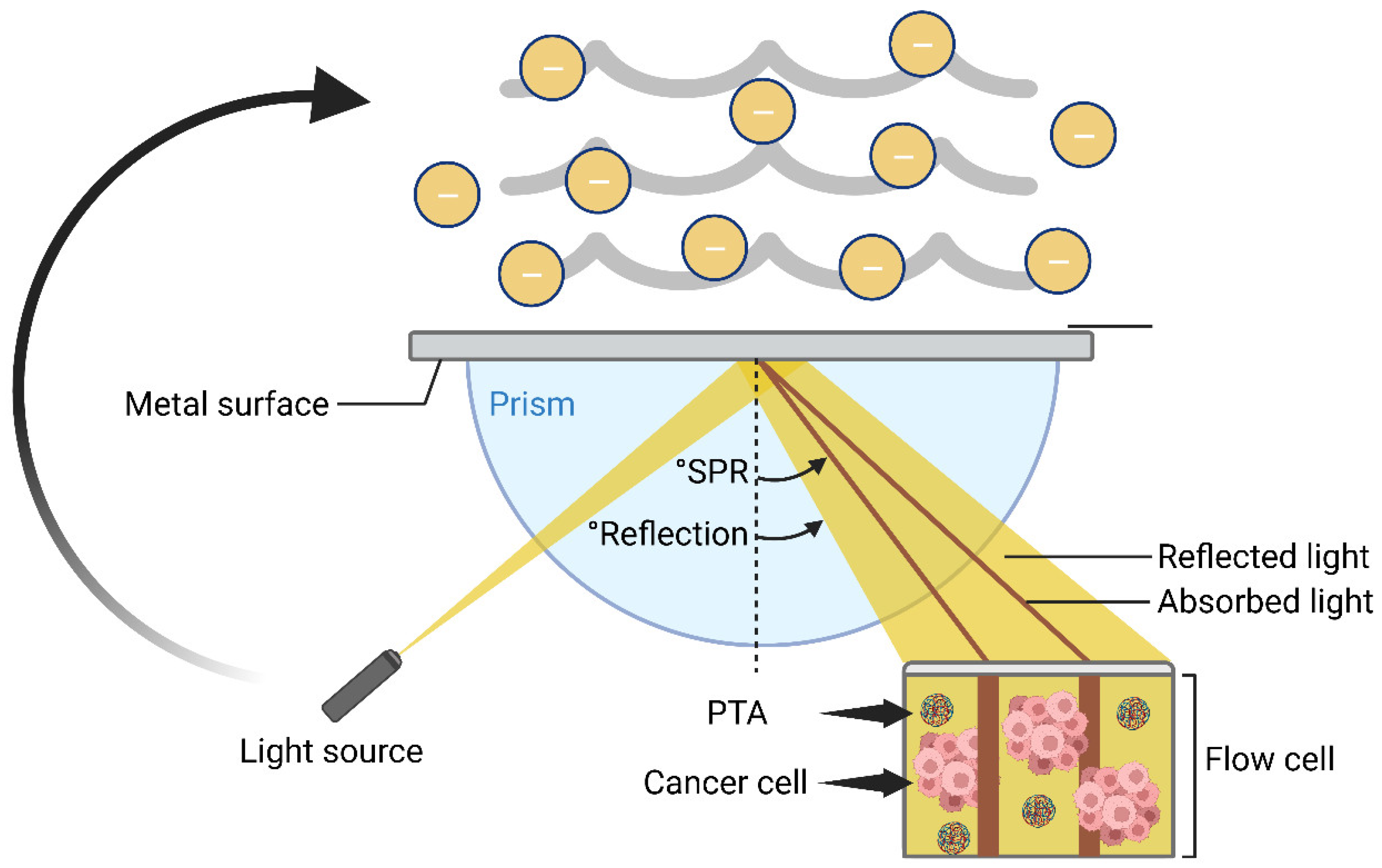 Pharmaceutics 15 02729 g005