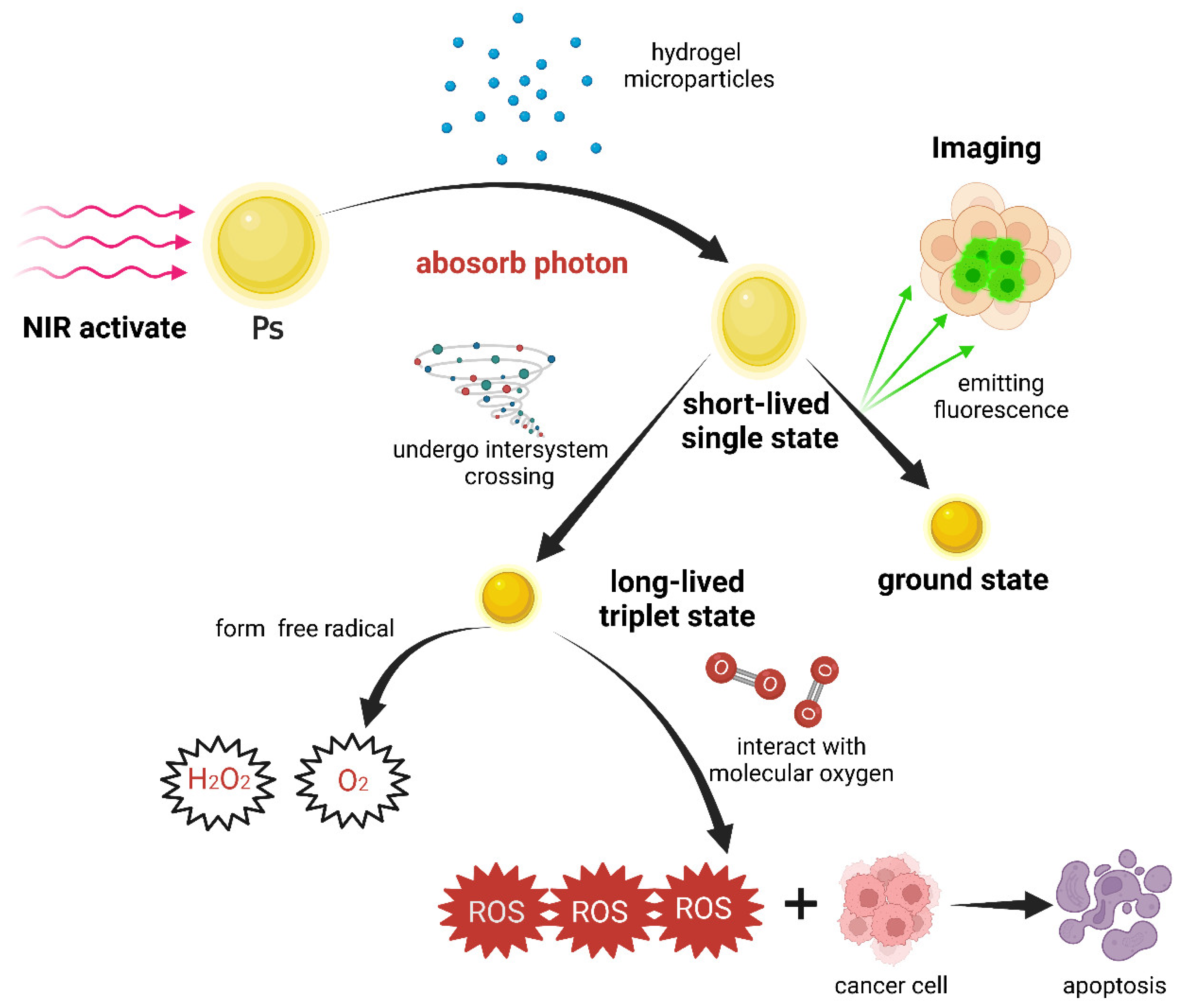 Pharmaceutics 15 02729 g006