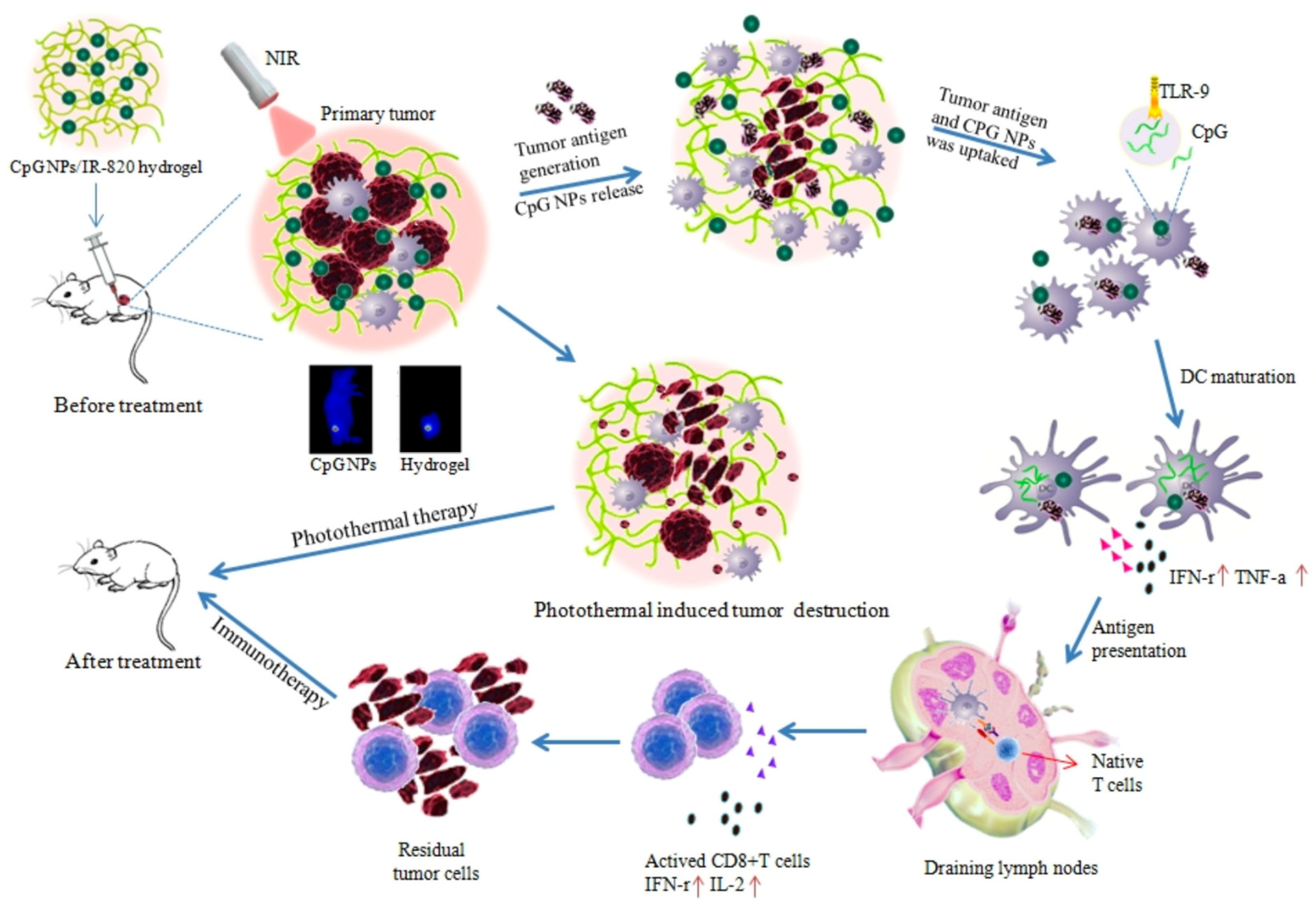 Pharmaceutics 15 02729 g007