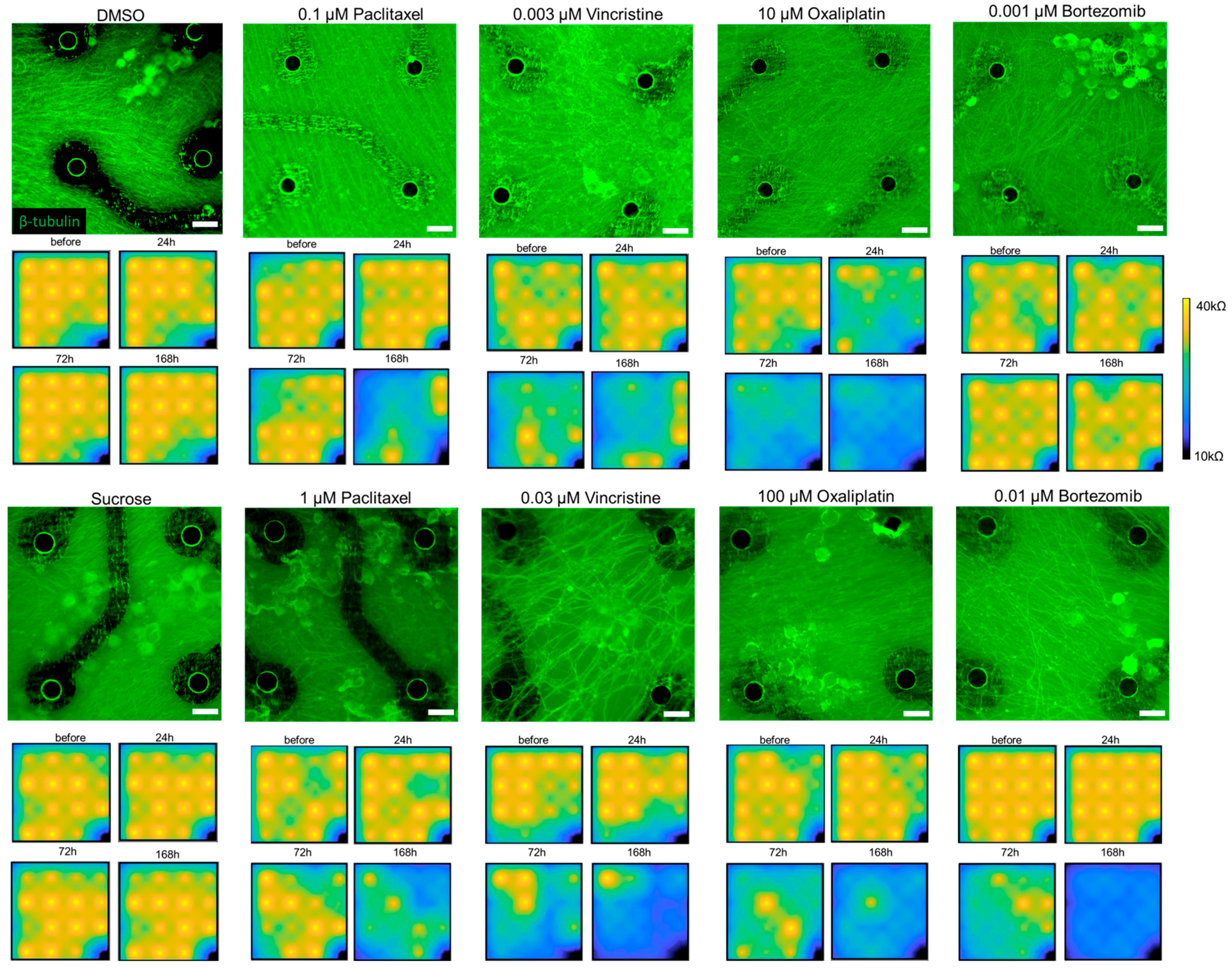 Pharmaceutics 15 02788 g001