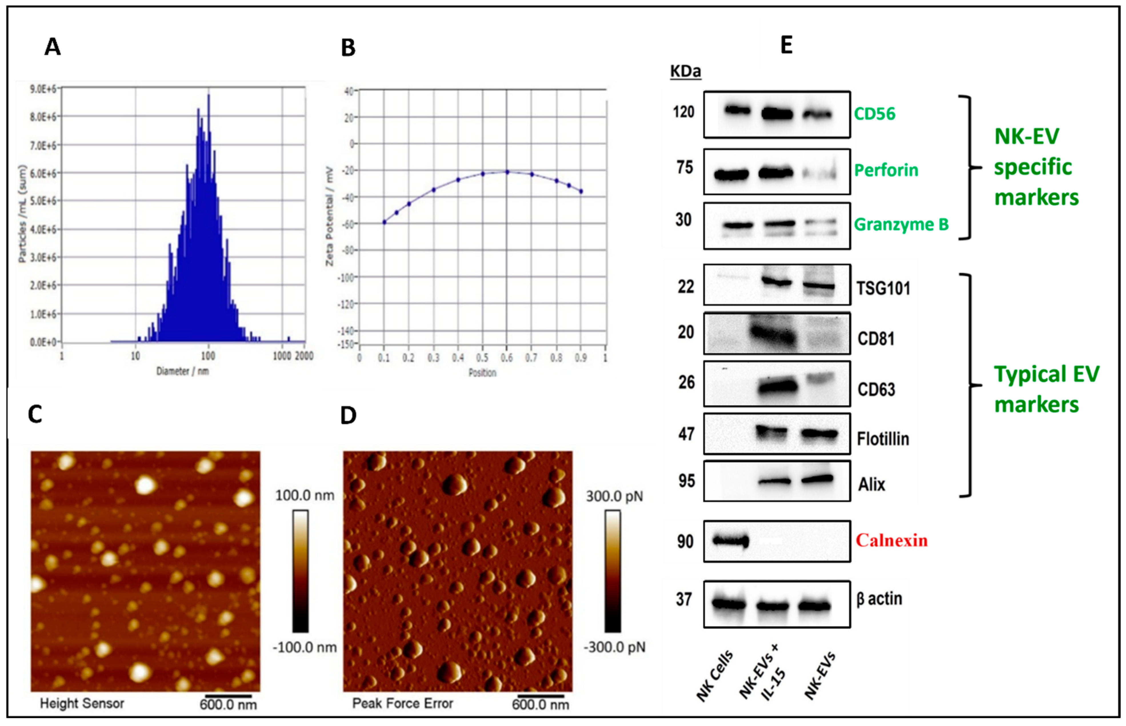Pharmaceutics 16 00083 g002