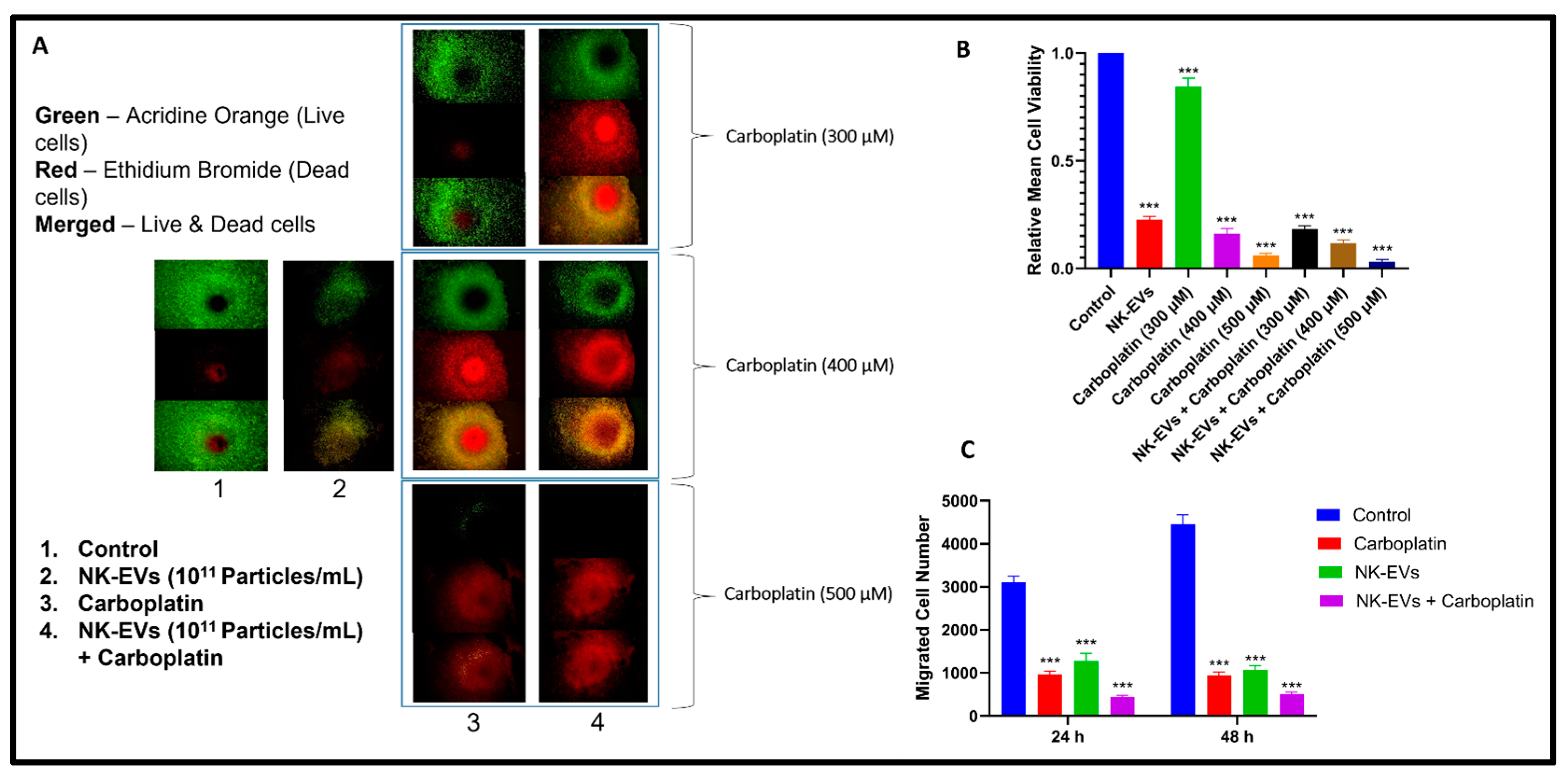 Pharmaceutics 16 00083 g004
