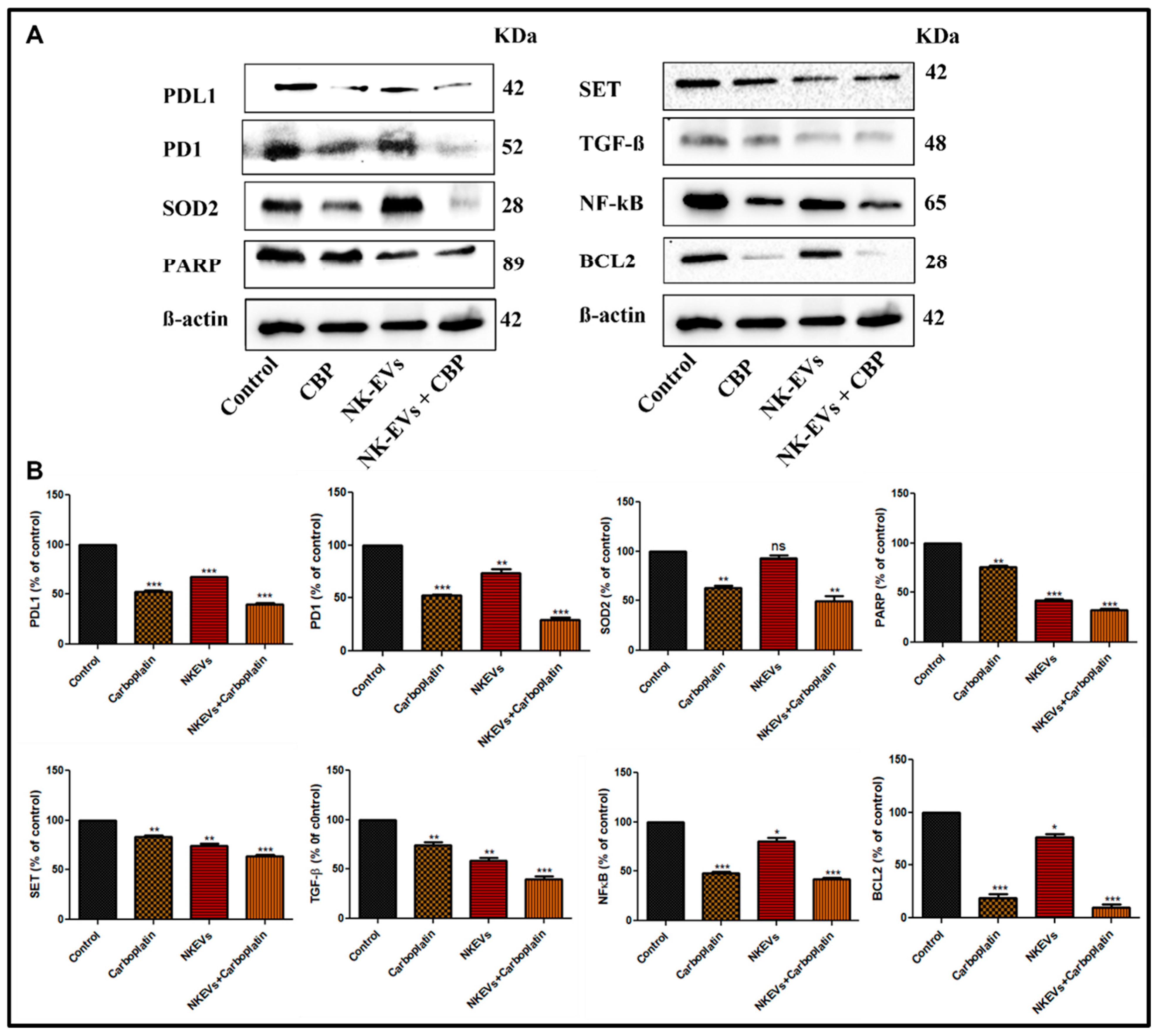 Pharmaceutics 16 00083 g007