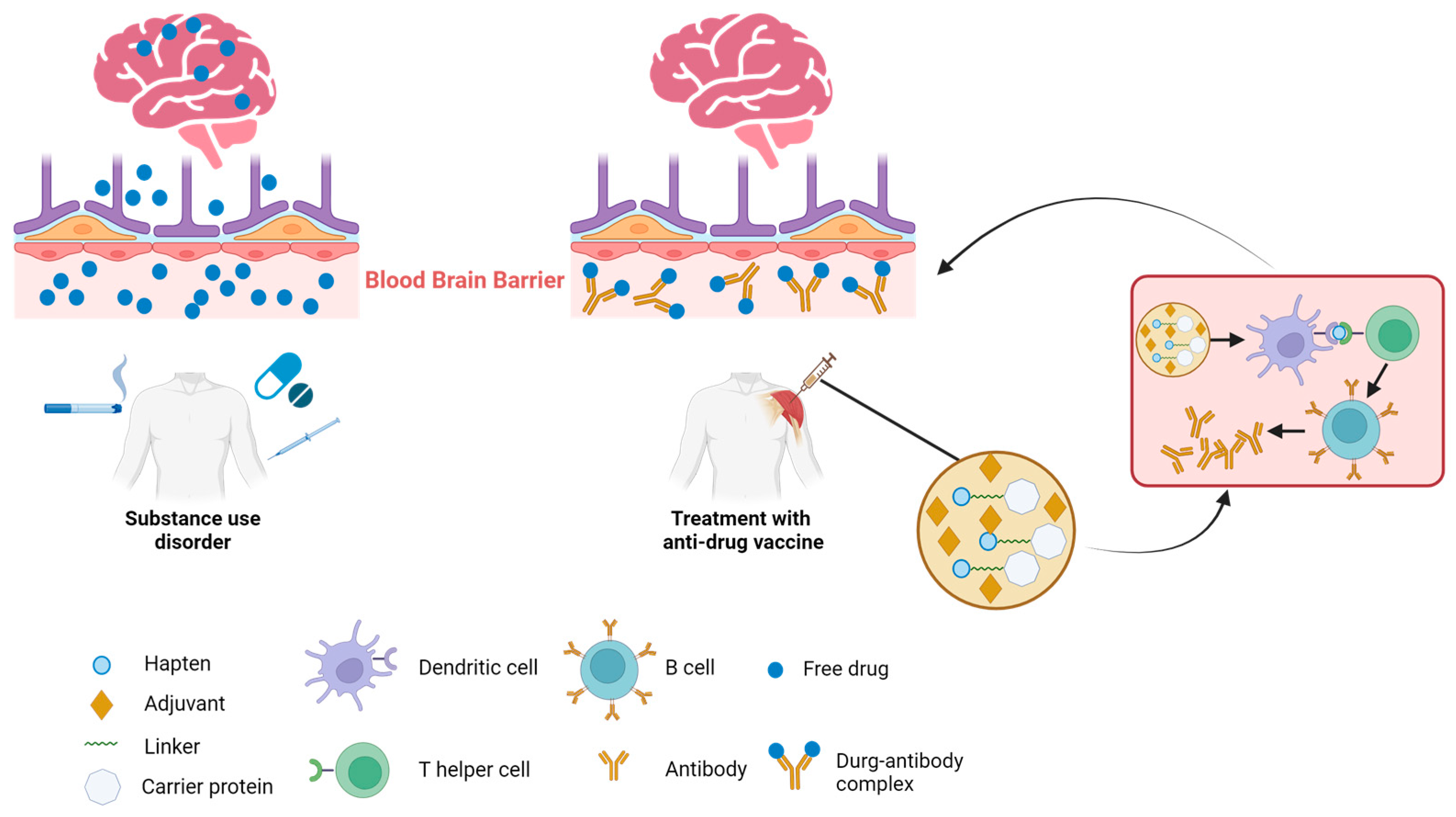 Pharmaceutics 16 00084 g001
