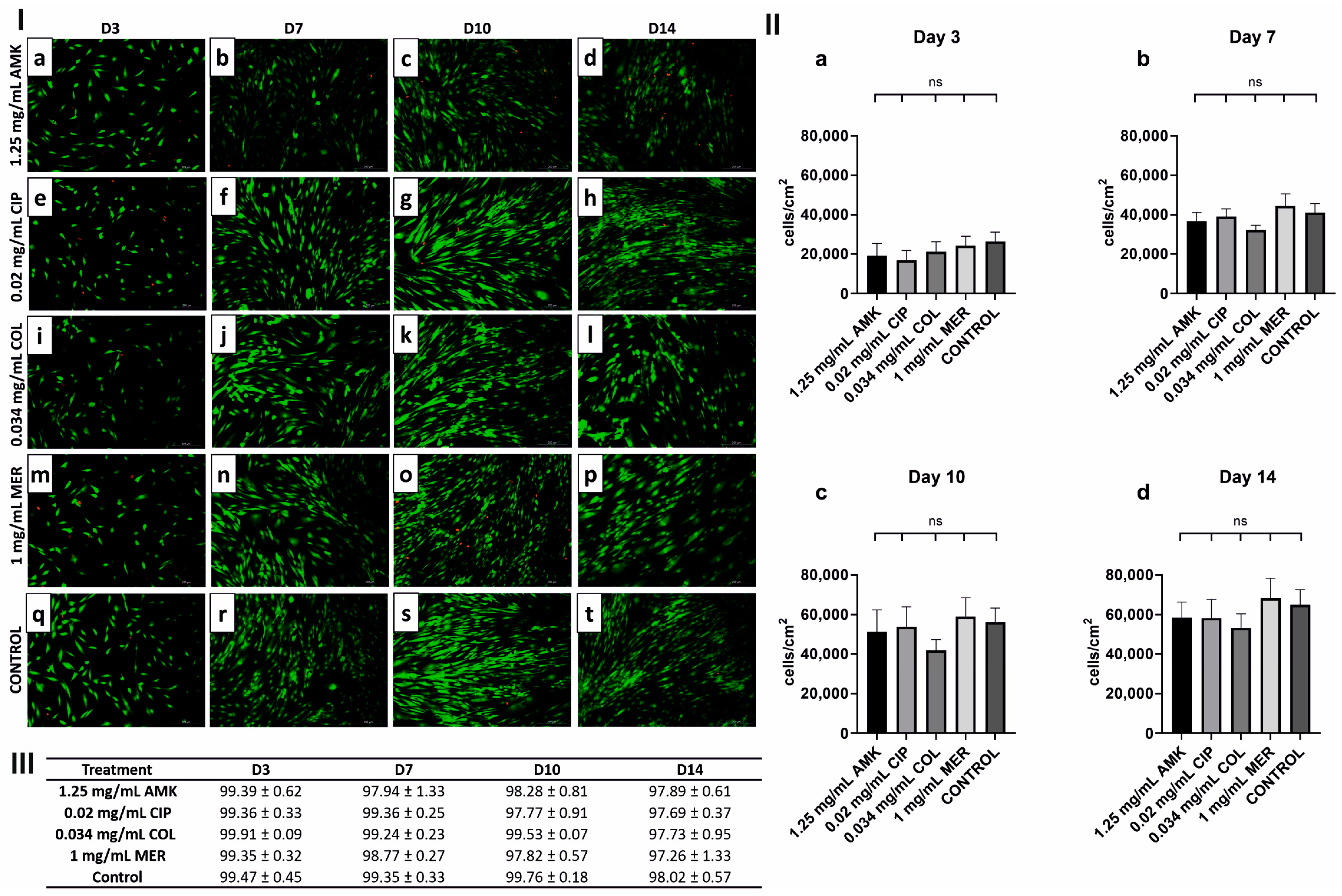 Pharmaceutics 16 00117 g001