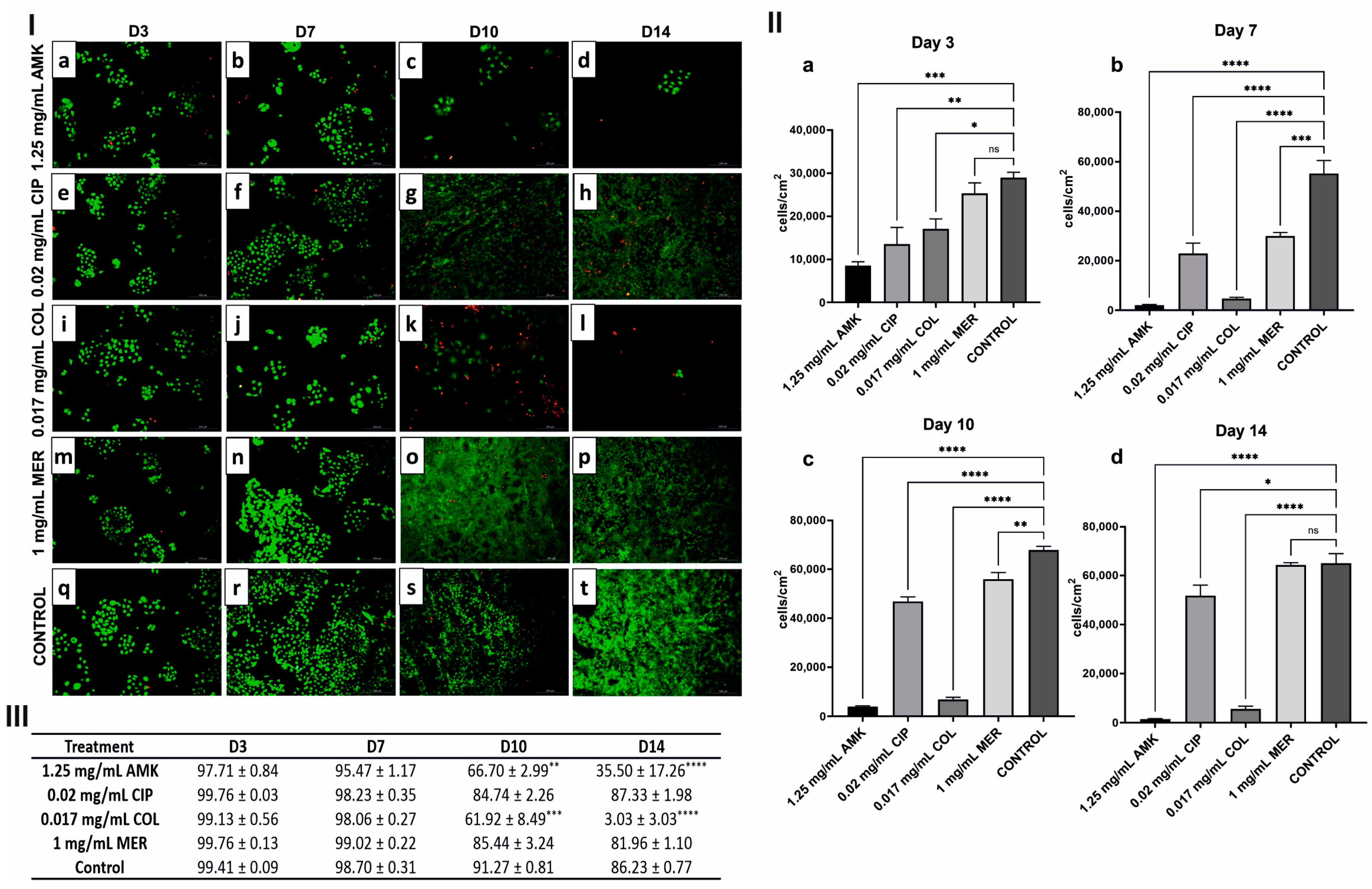 Pharmaceutics 16 00117 g002