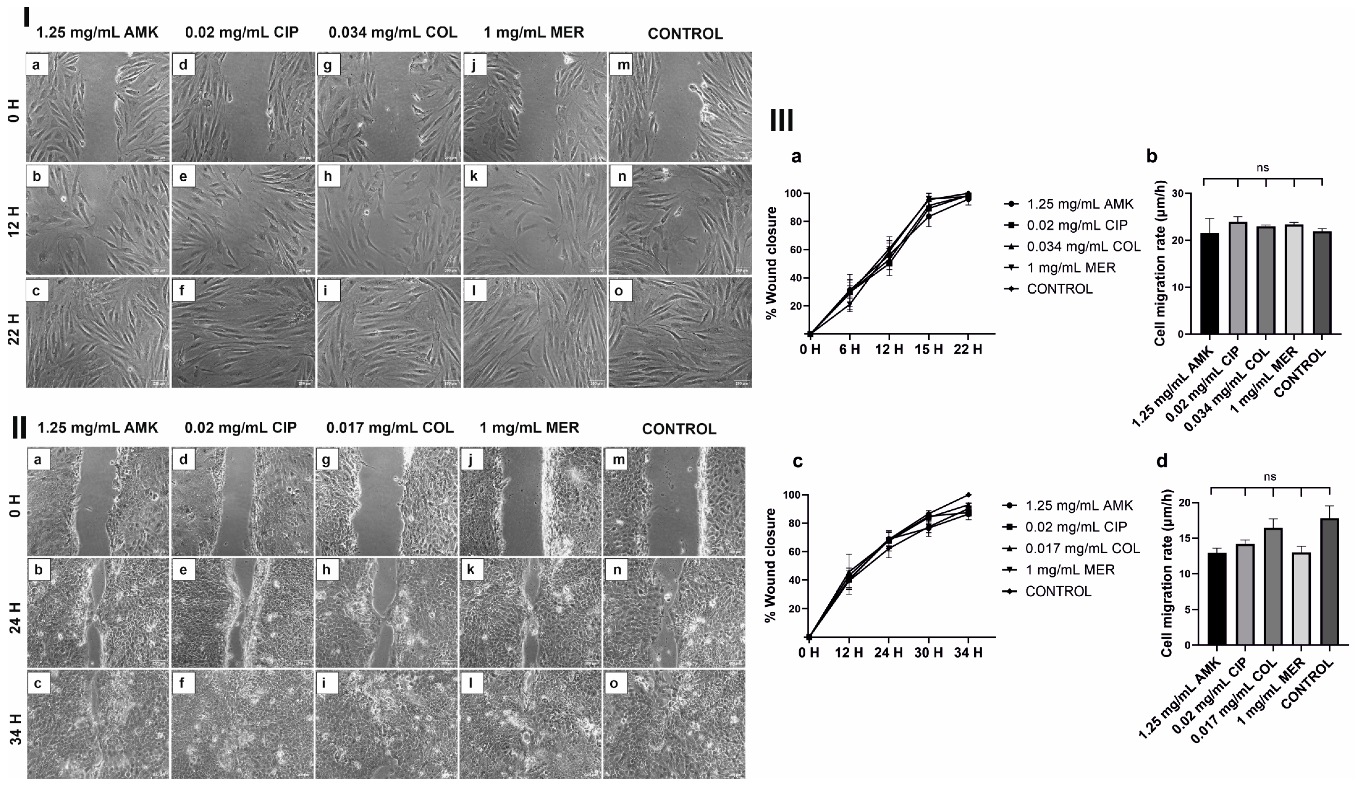 Pharmaceutics 16 00117 g003