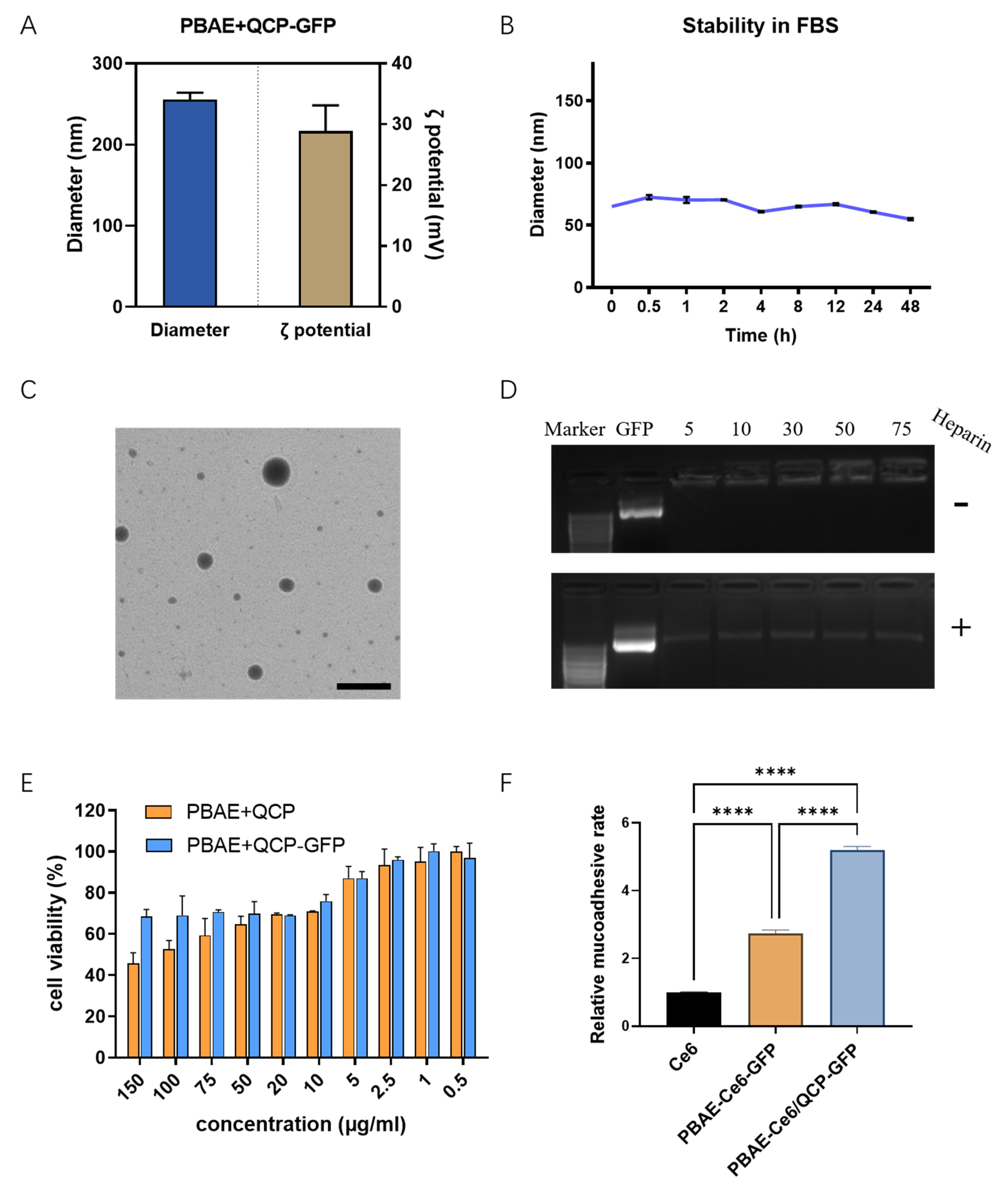 Pharmaceutics 16 00154 g004