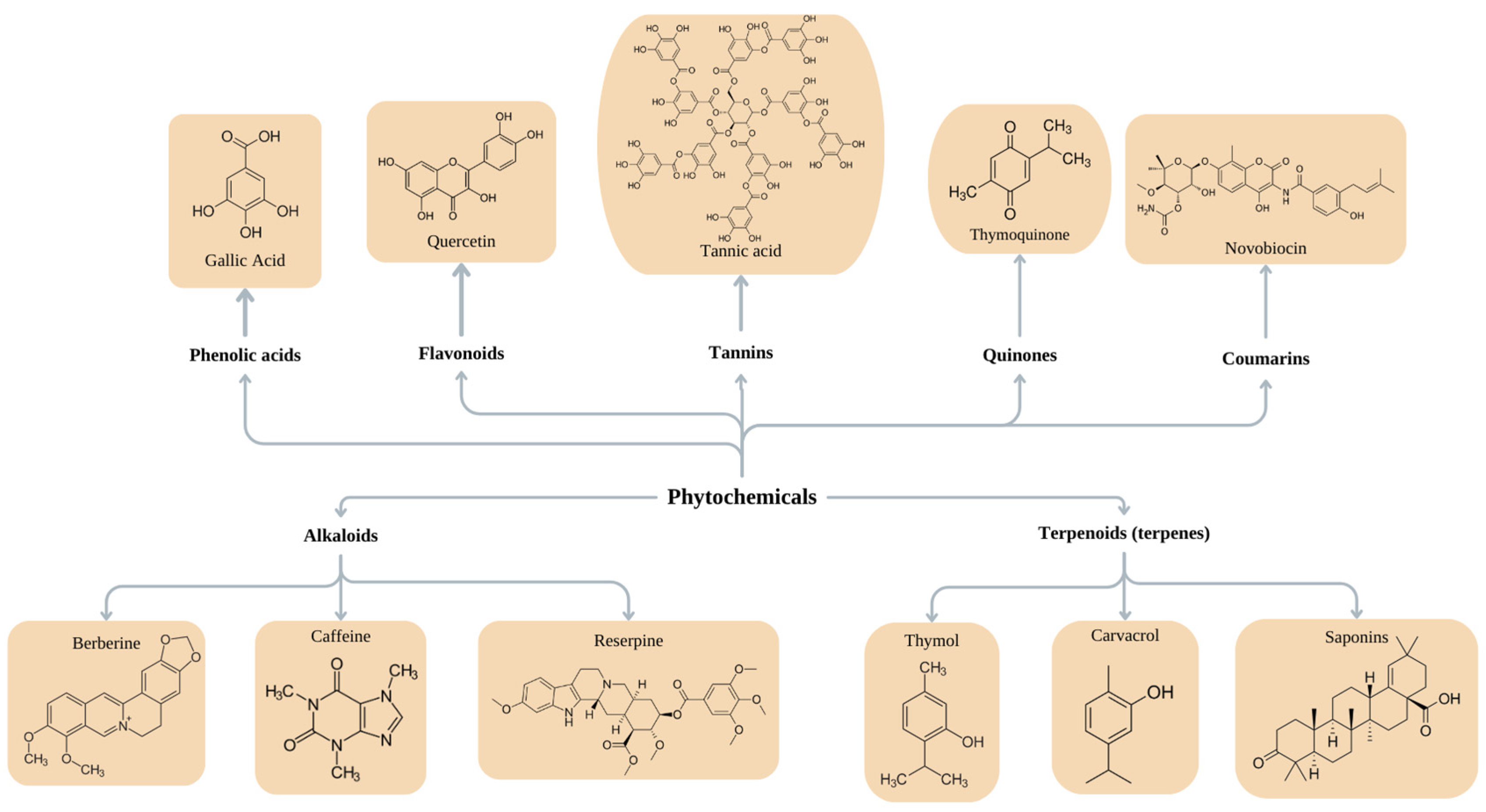 Pharmaceutics 16 00162 g002