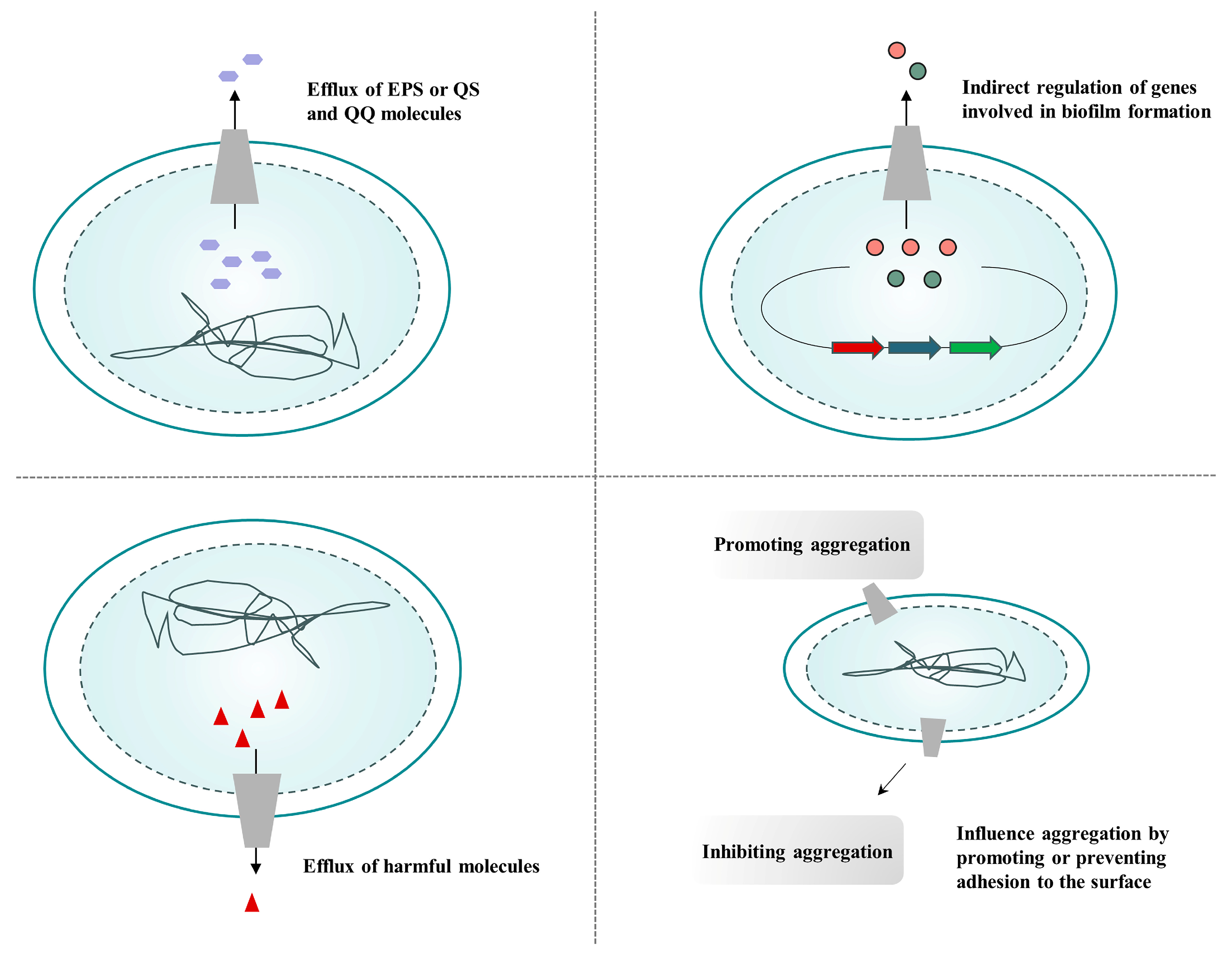 Pharmaceutics 16 00170 g007 Pharmaceutics 16 00170 g007