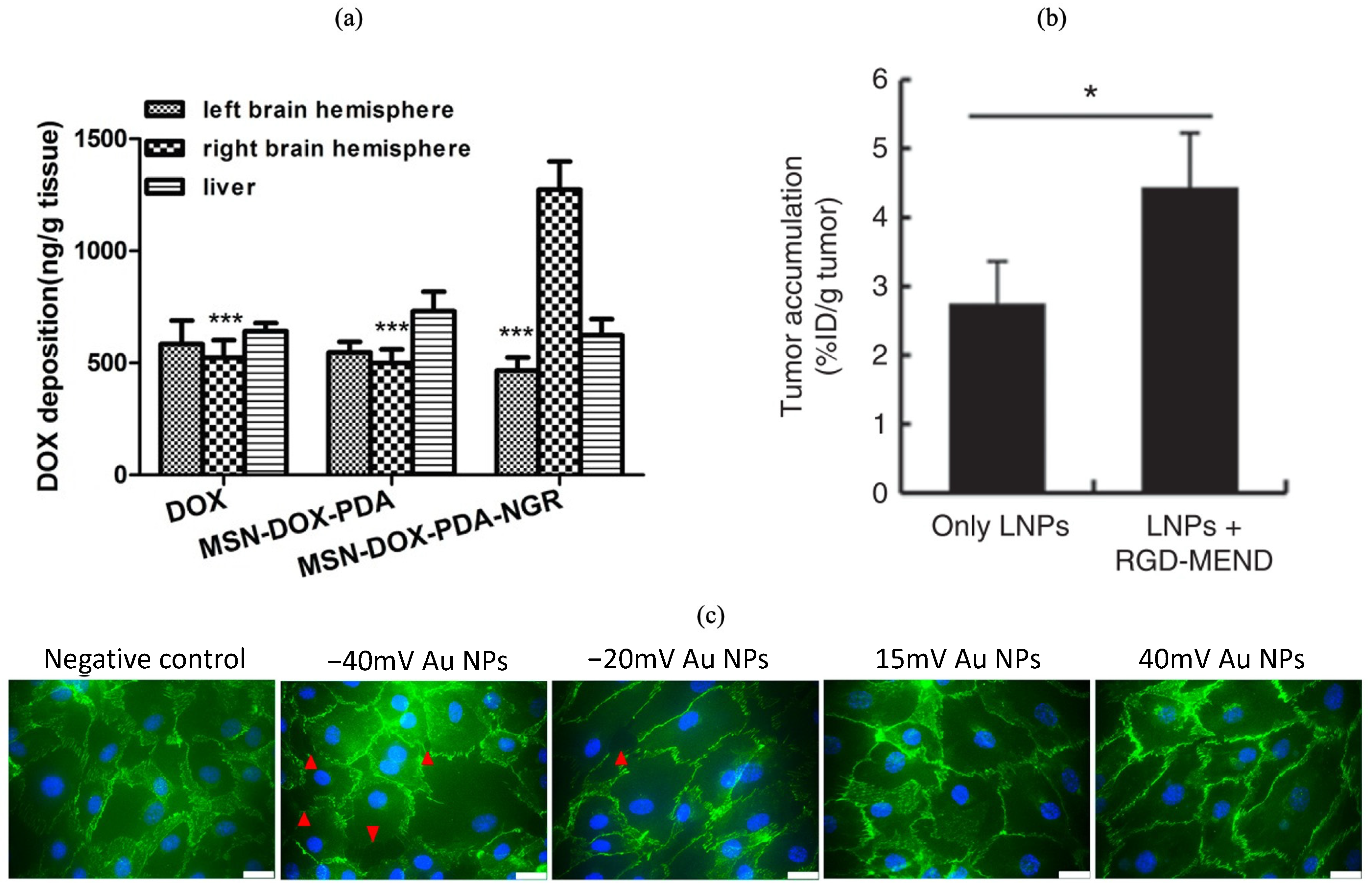 Pharmaceutics 16 00175 g003