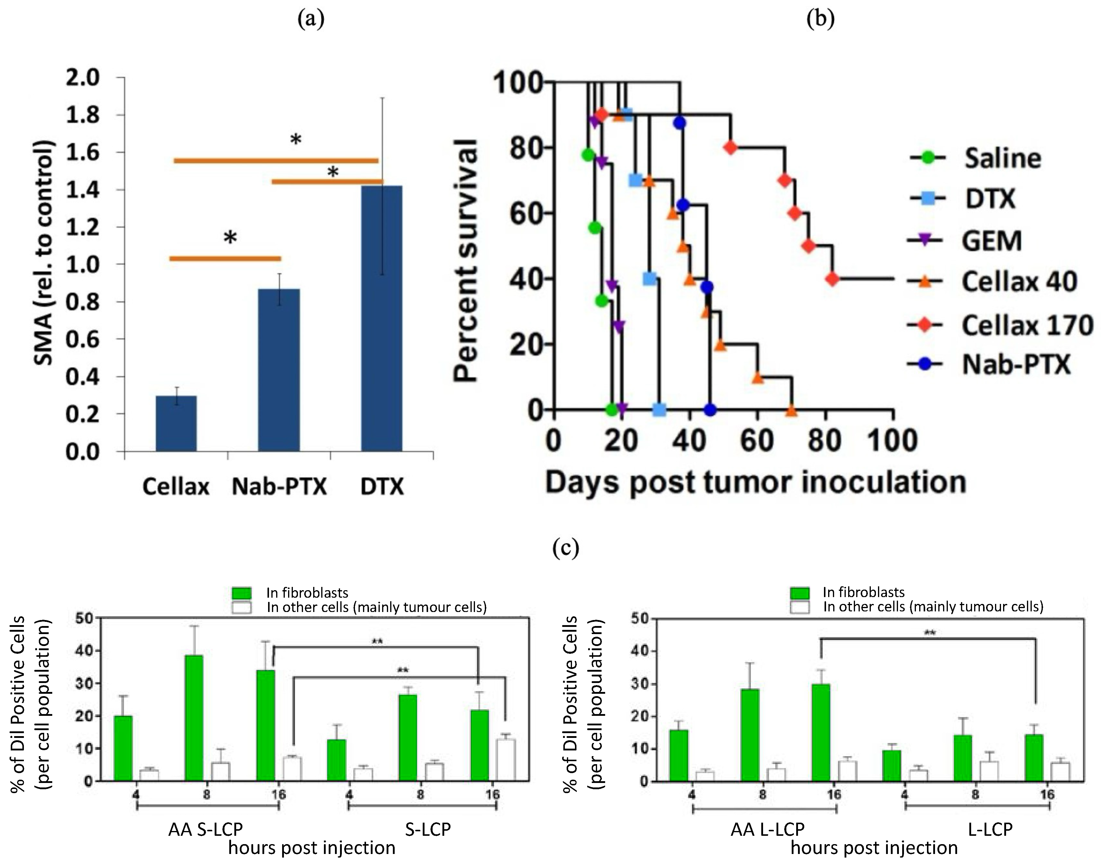 Pharmaceutics 16 00175 g004