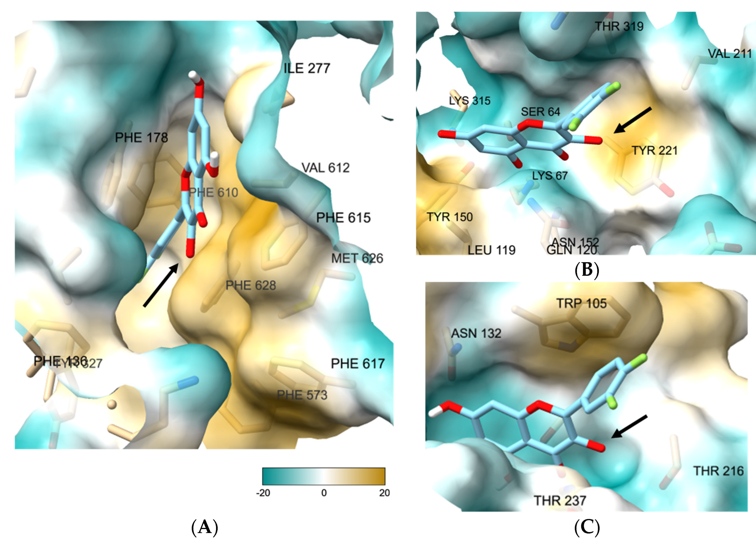 Pharmaceutics 16 00185 g002