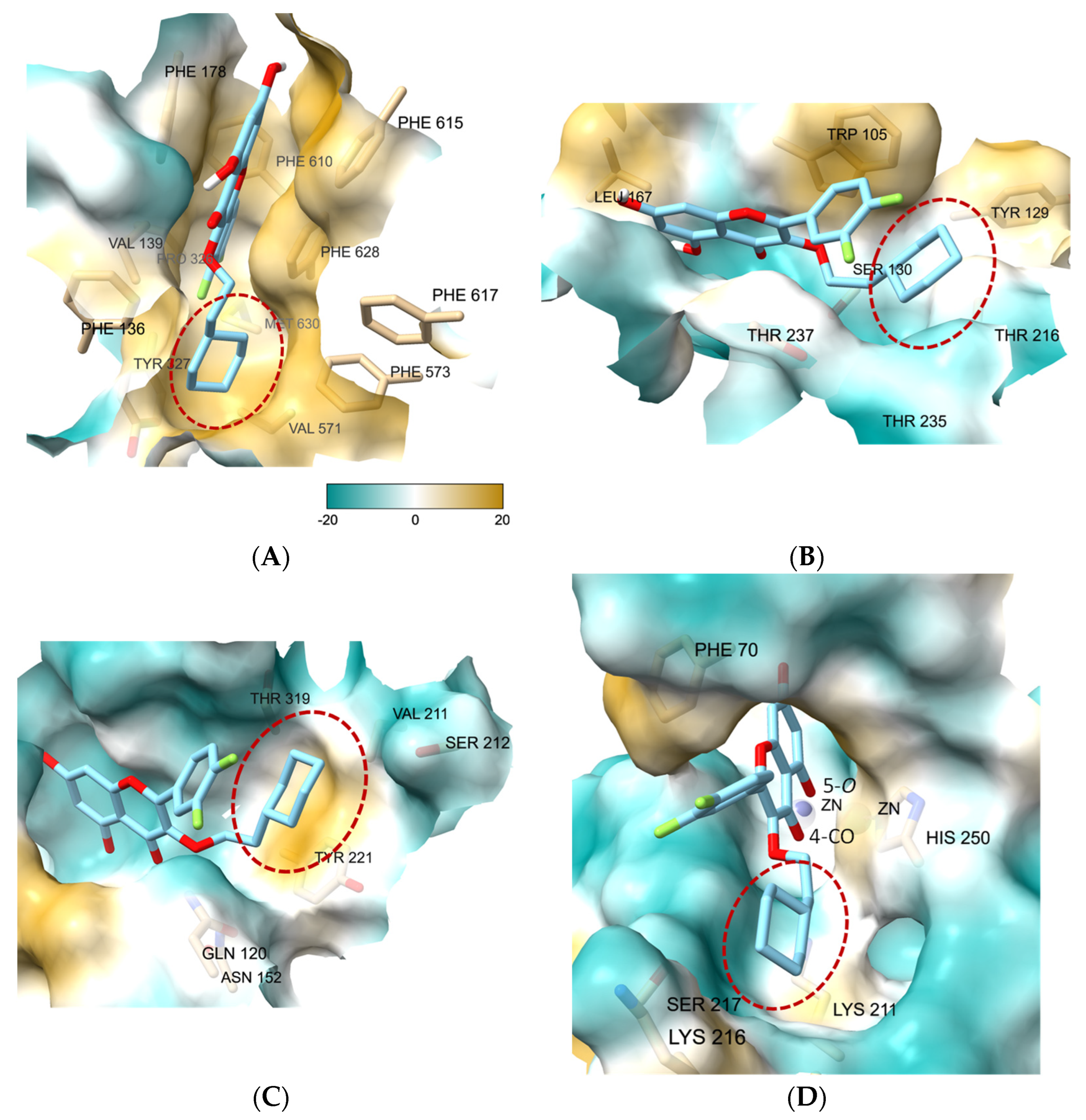 Pharmaceutics 16 00185 g004