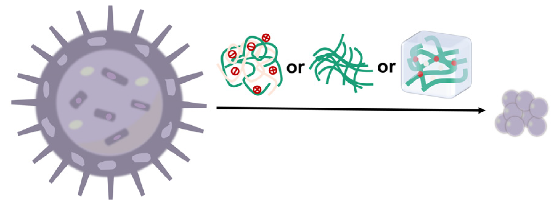 Pharmaceutics 16 00337 g005