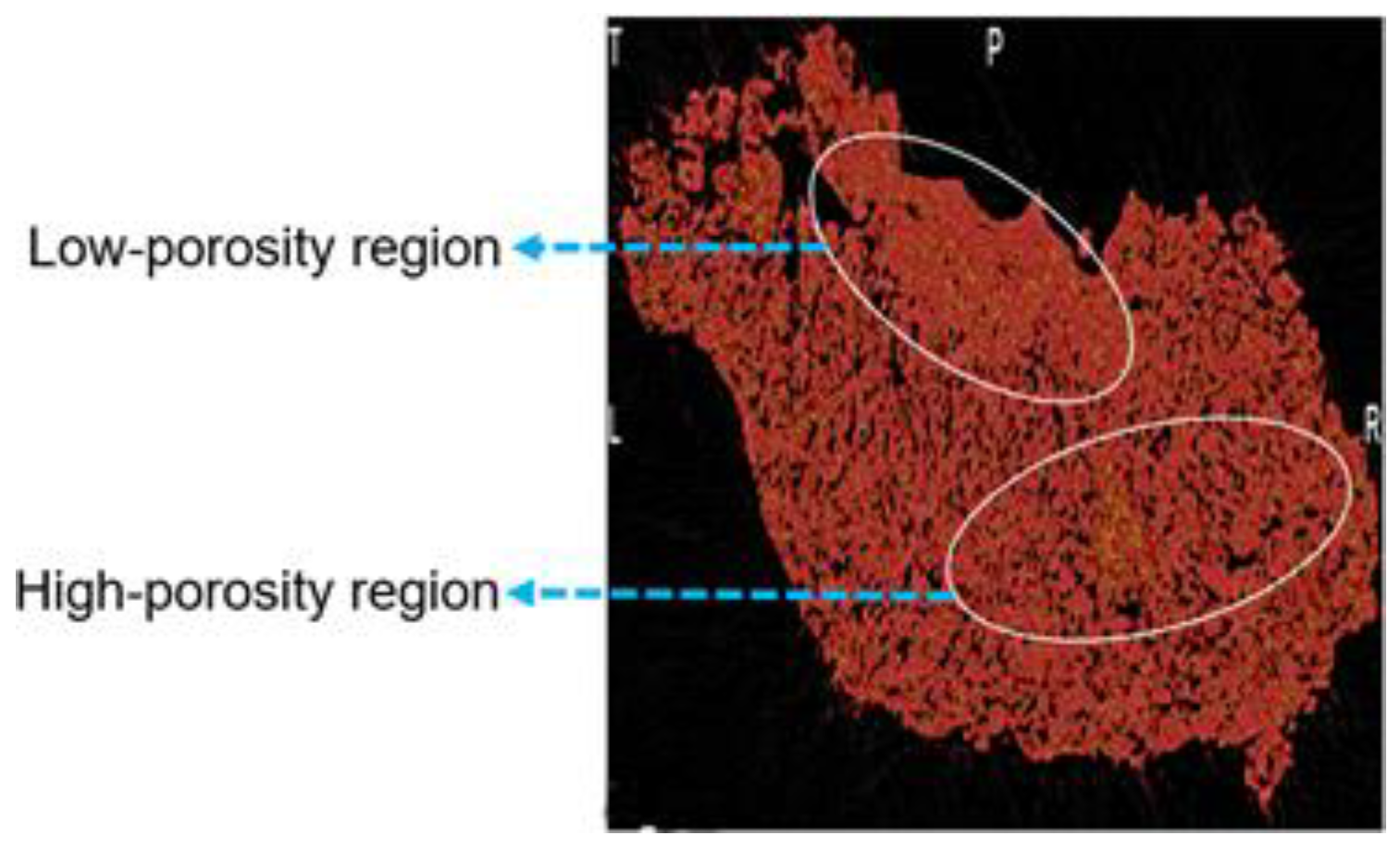 Pharmaceutics 16 00456 g004