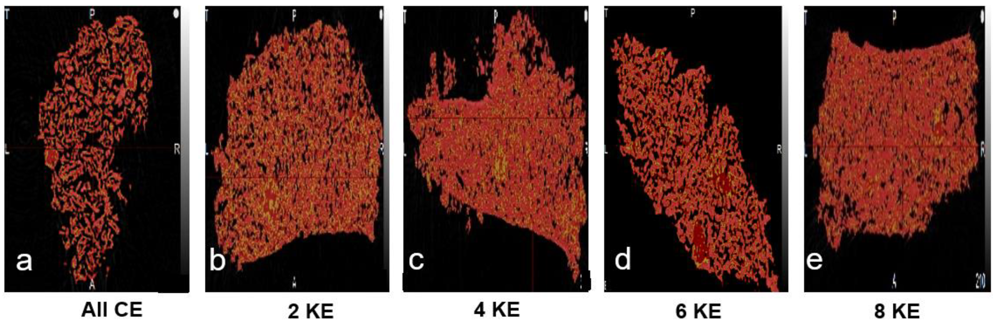 Pharmaceutics 16 00456 g006