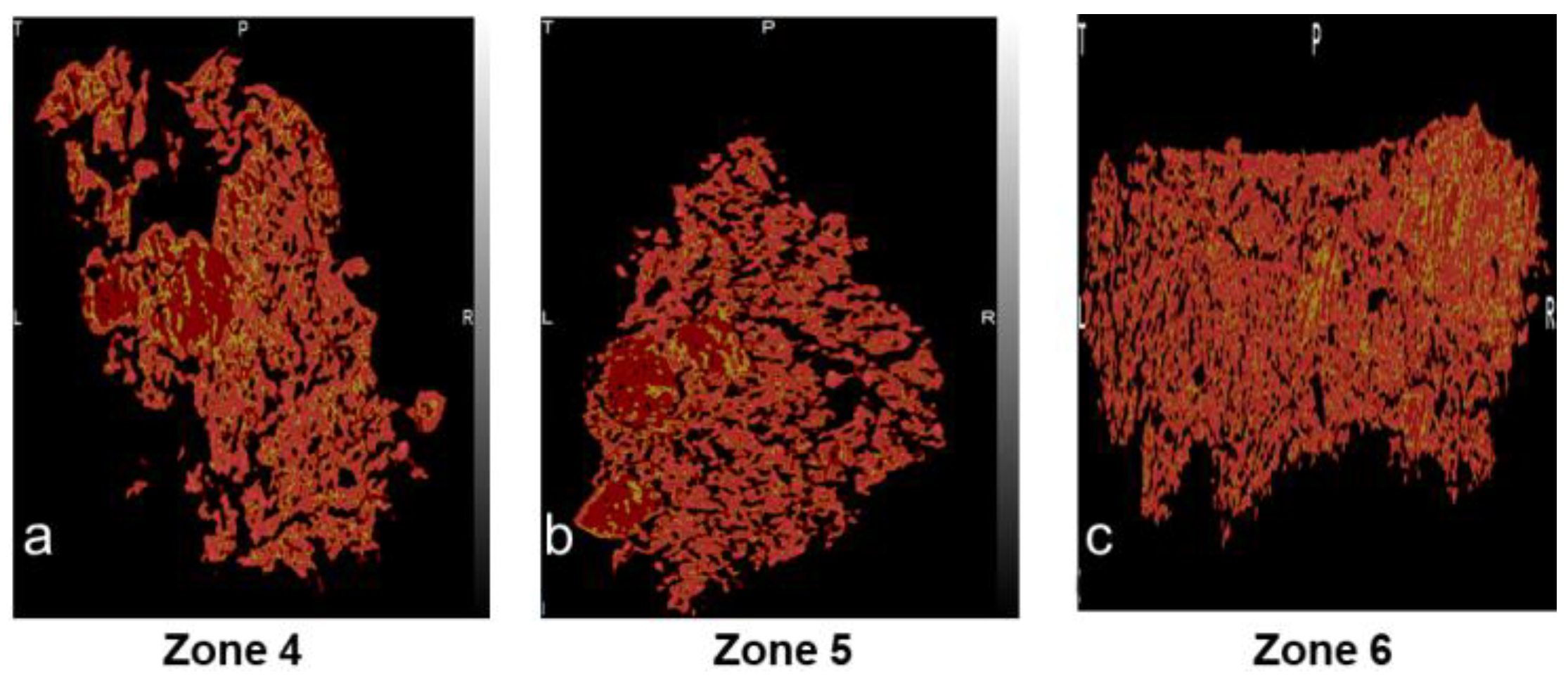 Pharmaceutics 16 00456 g009