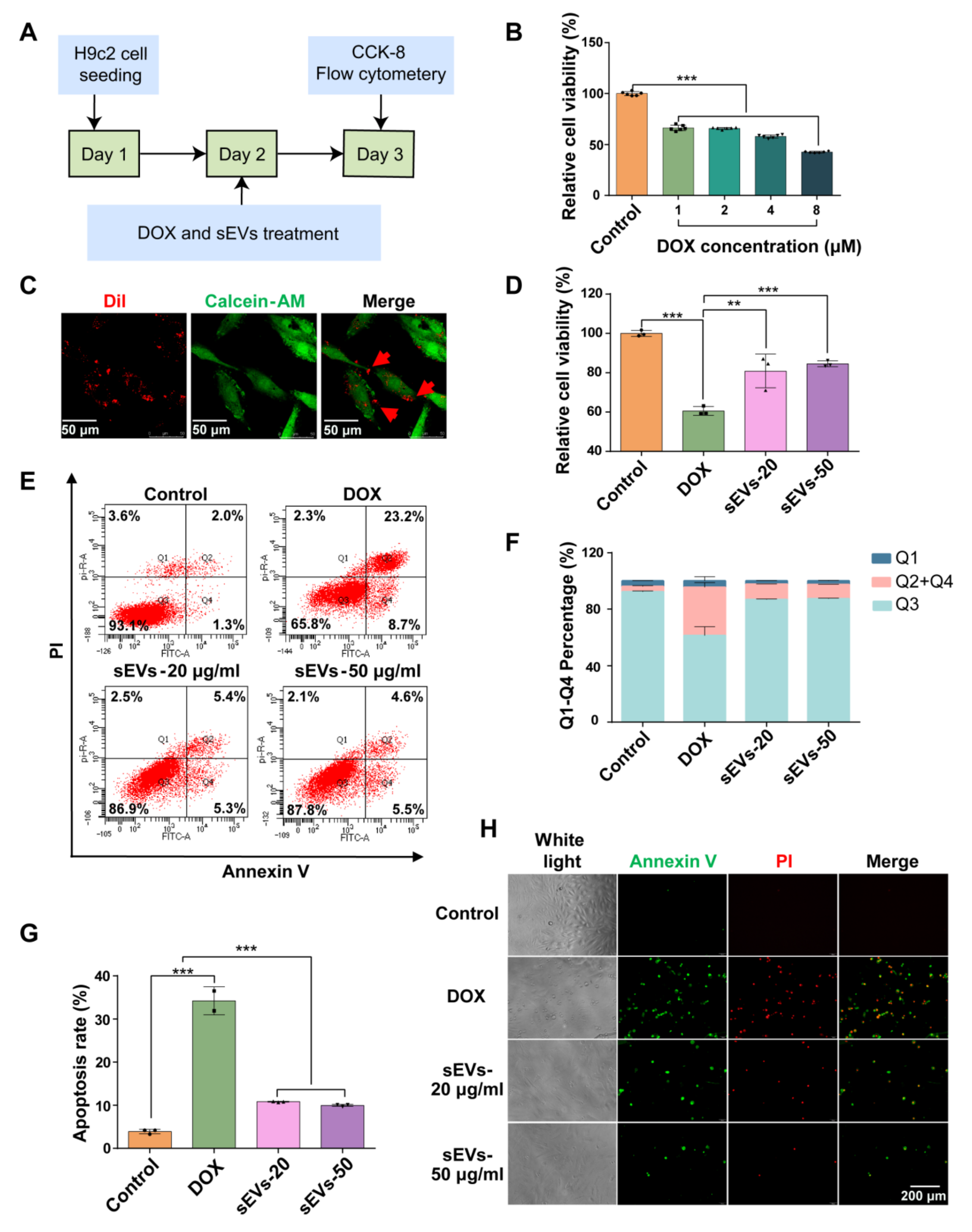 Pharmaceutics 16 00593 g004