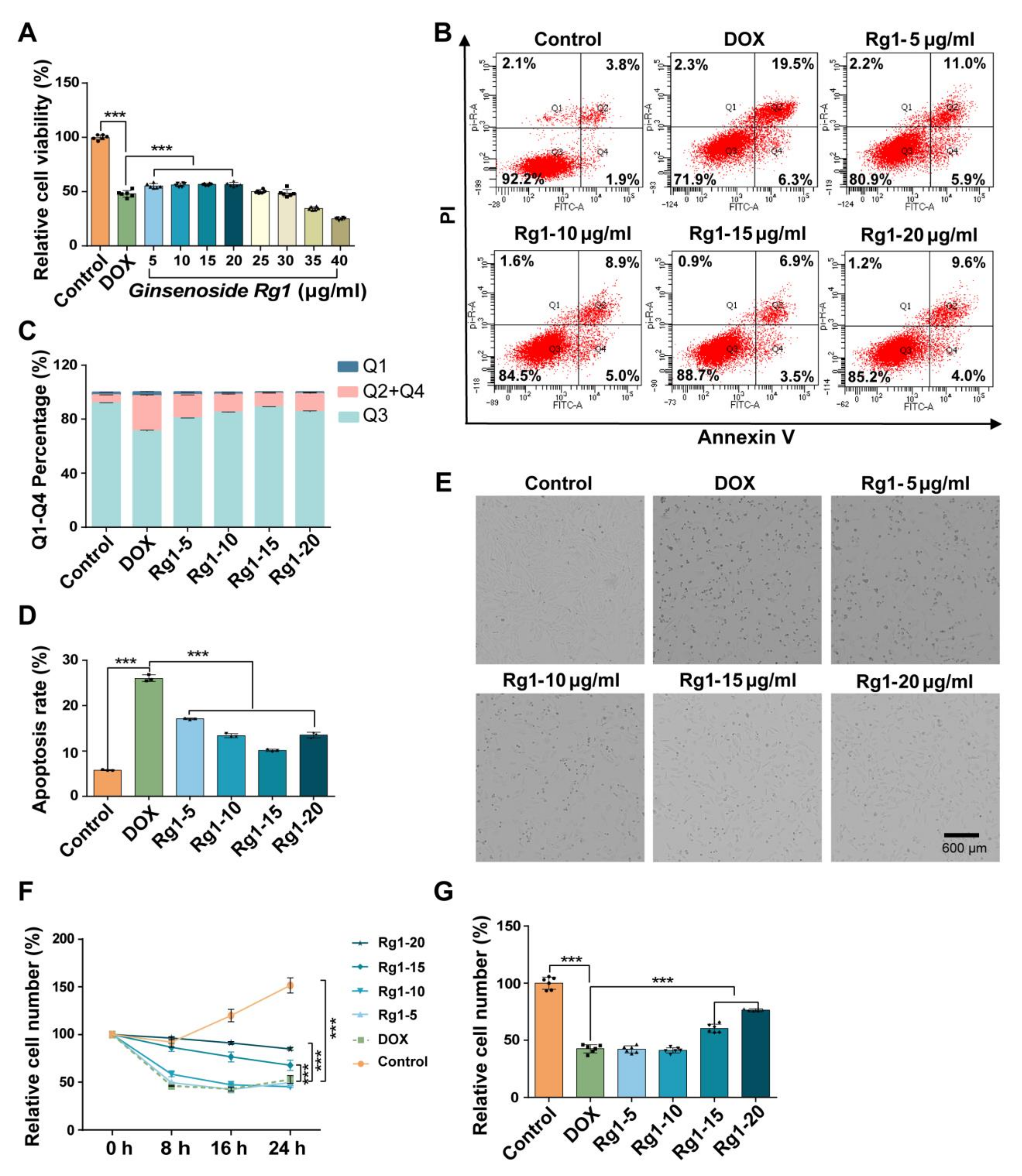 Pharmaceutics 16 00593 g005