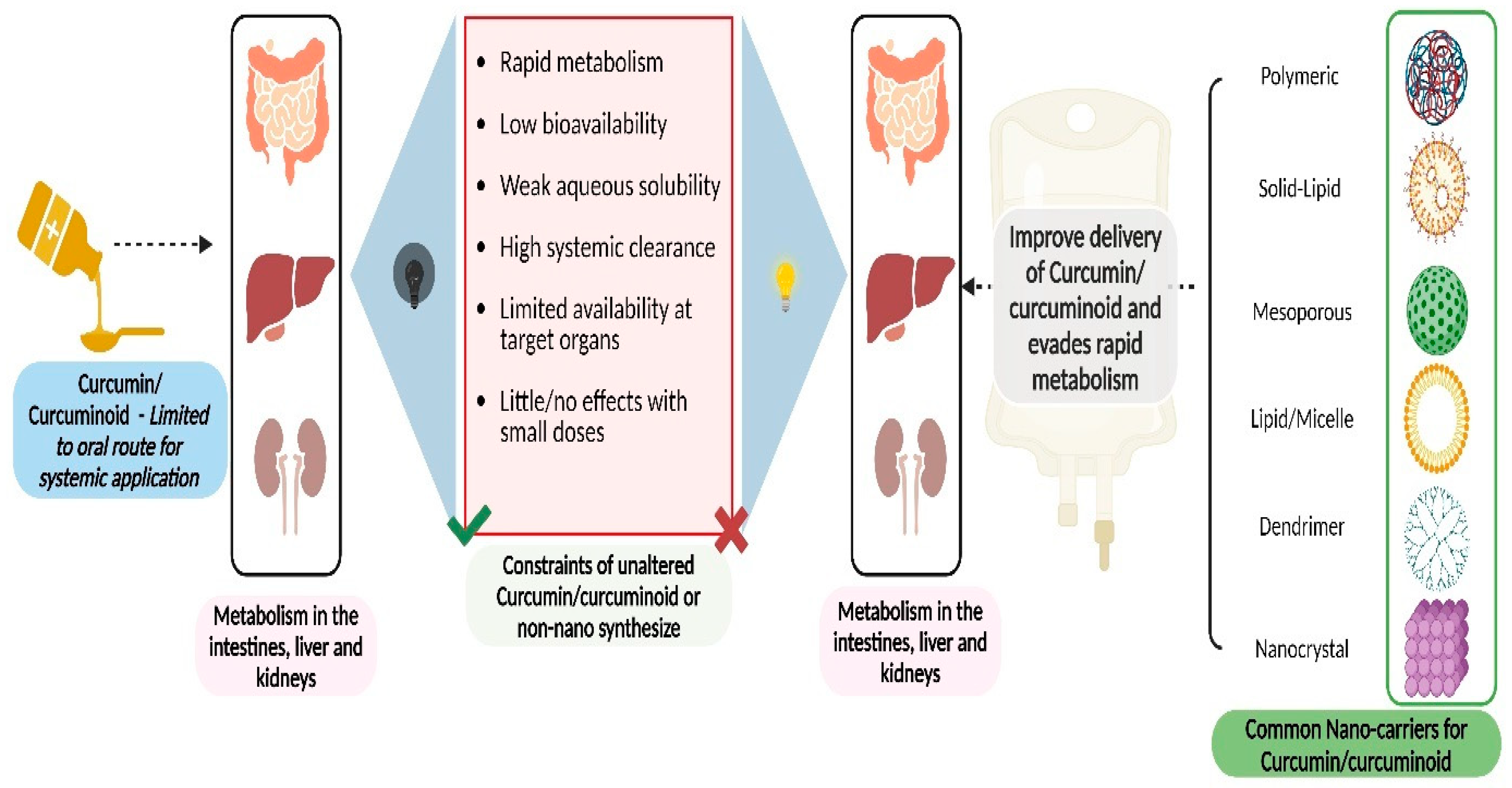 Pharmaceutics 16 00637 g004