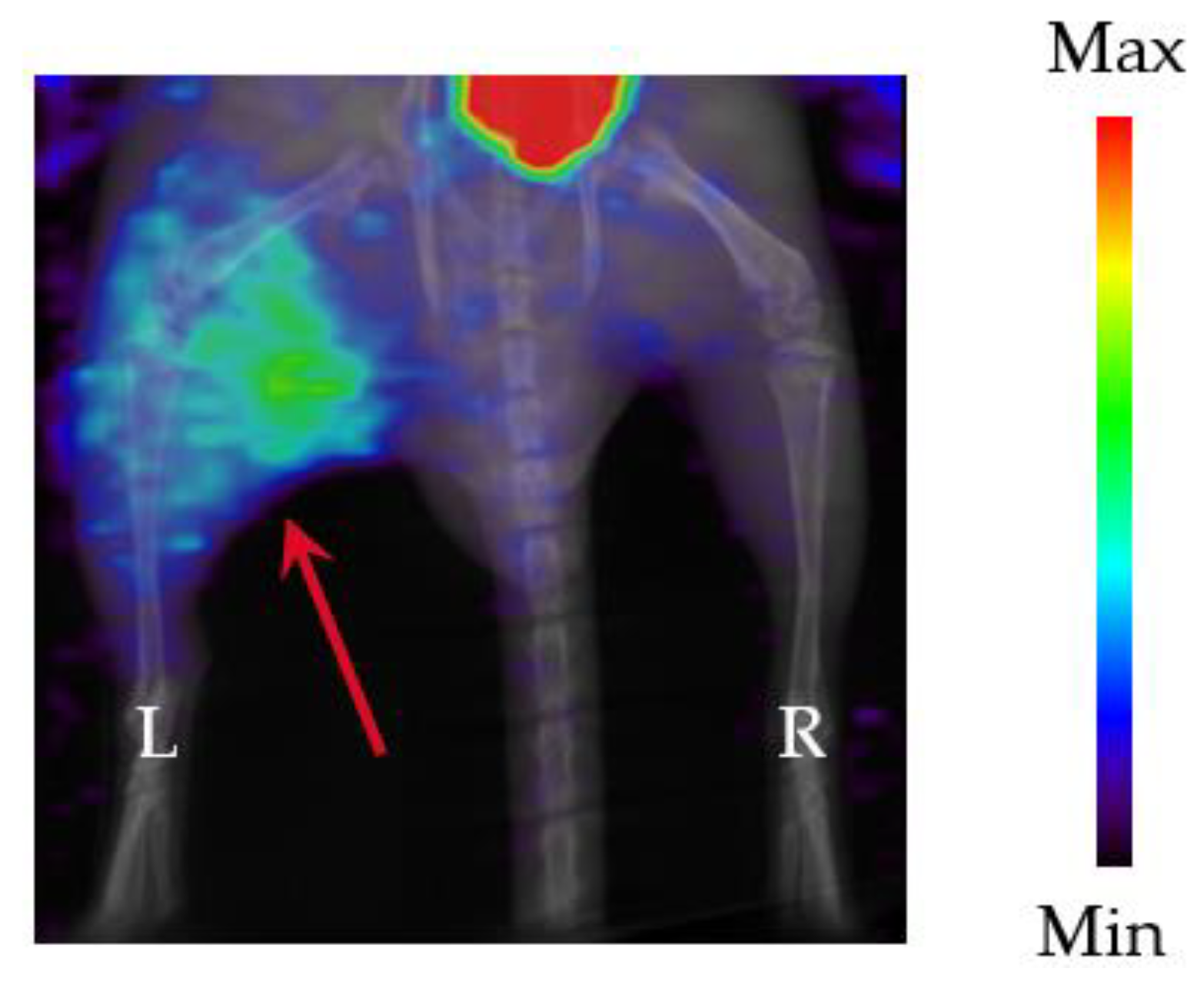 Pharmaceutics 16 00656 g004