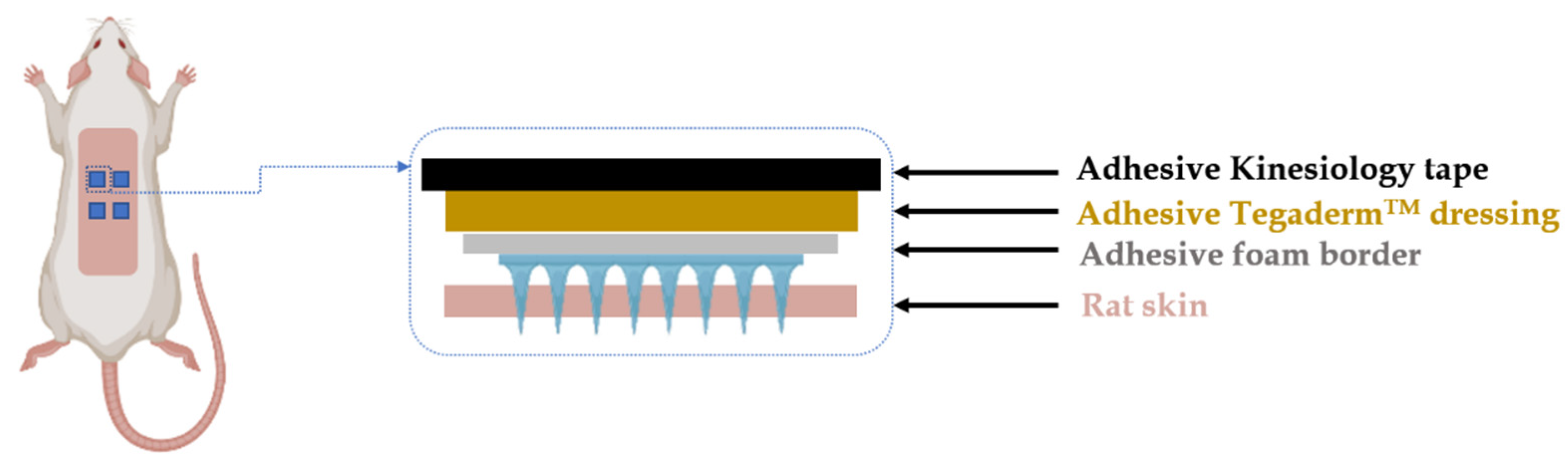 Pharmaceutics 16 00676 g003