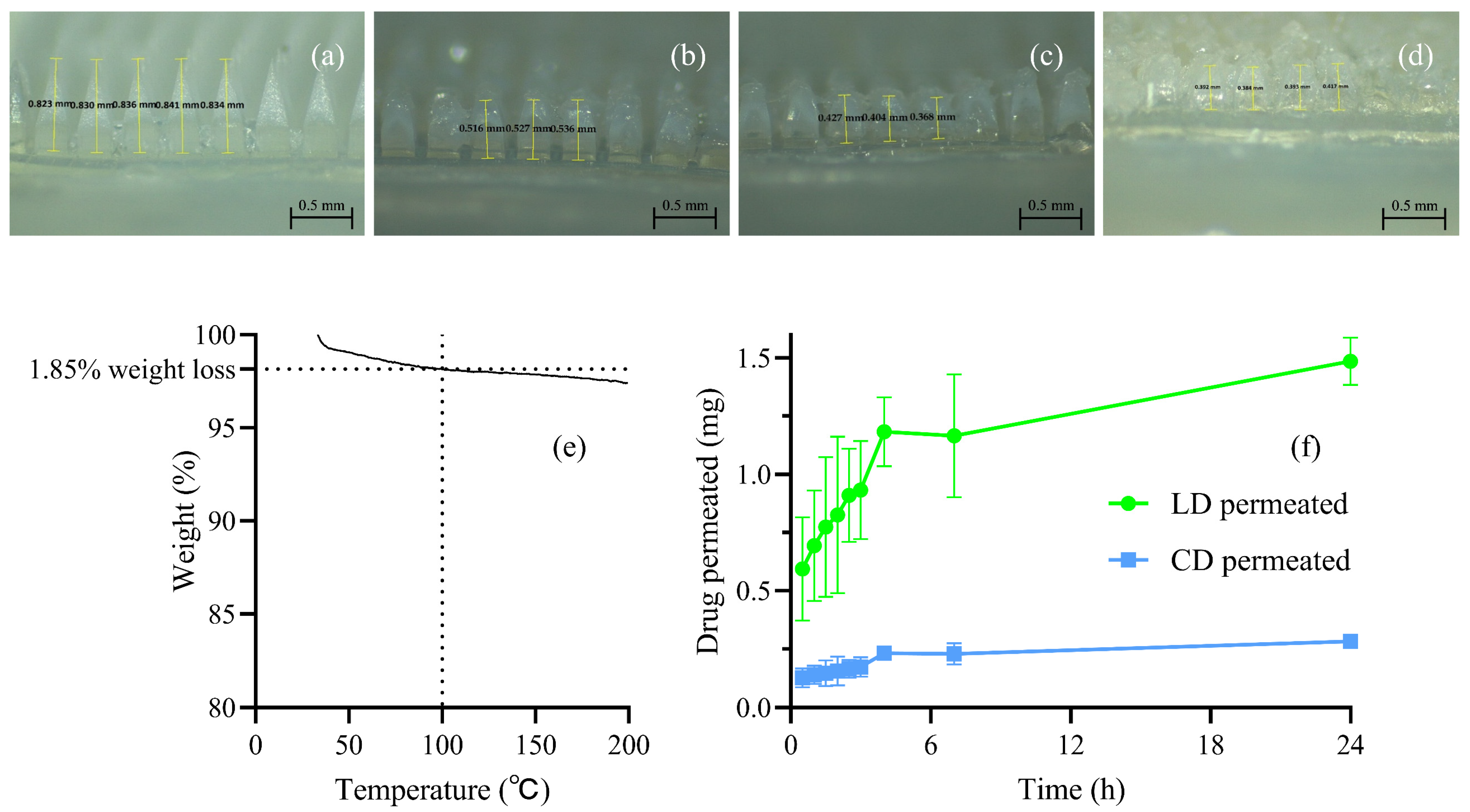 Pharmaceutics 16 00676 g005