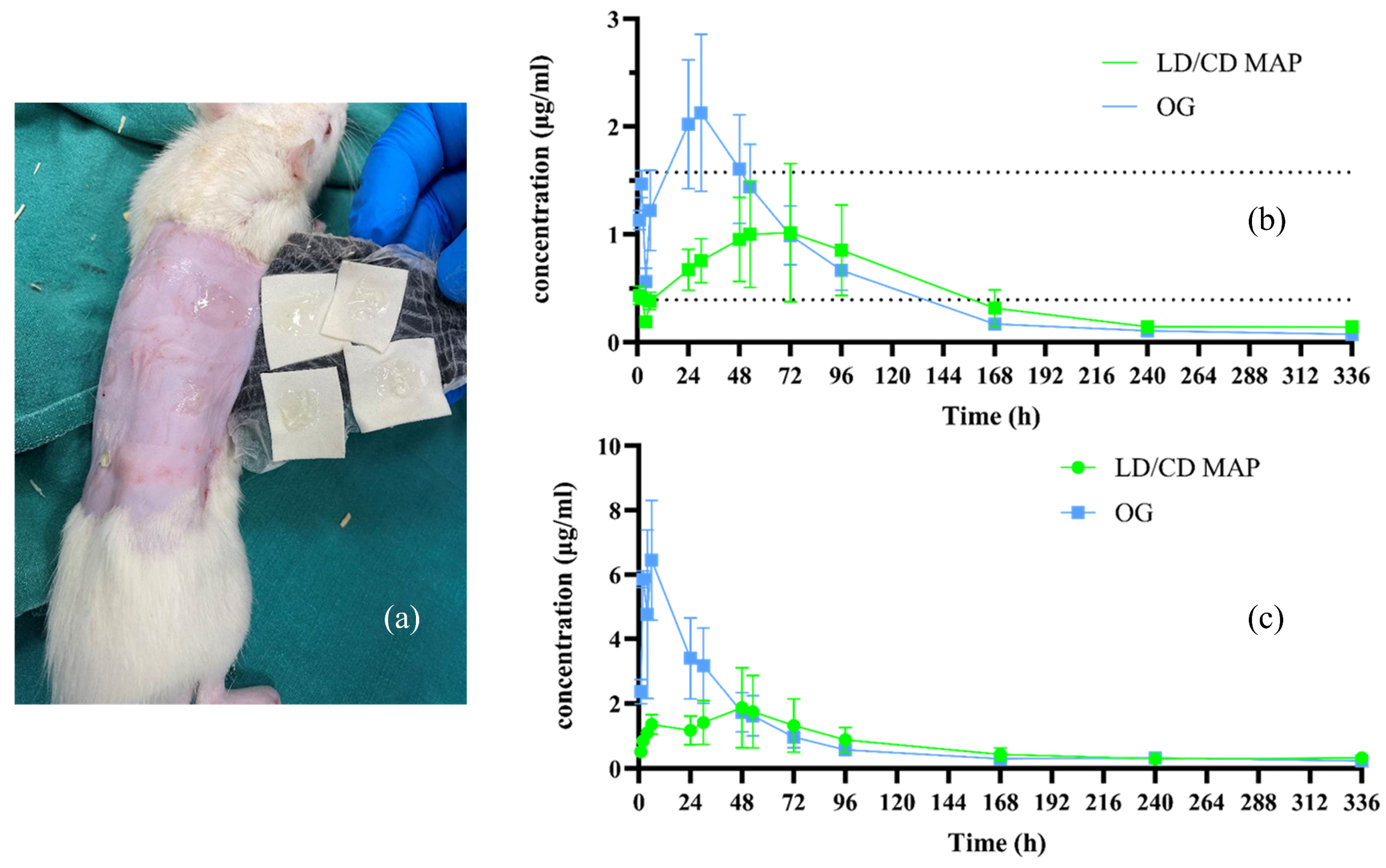 Pharmaceutics 16 00676 g006