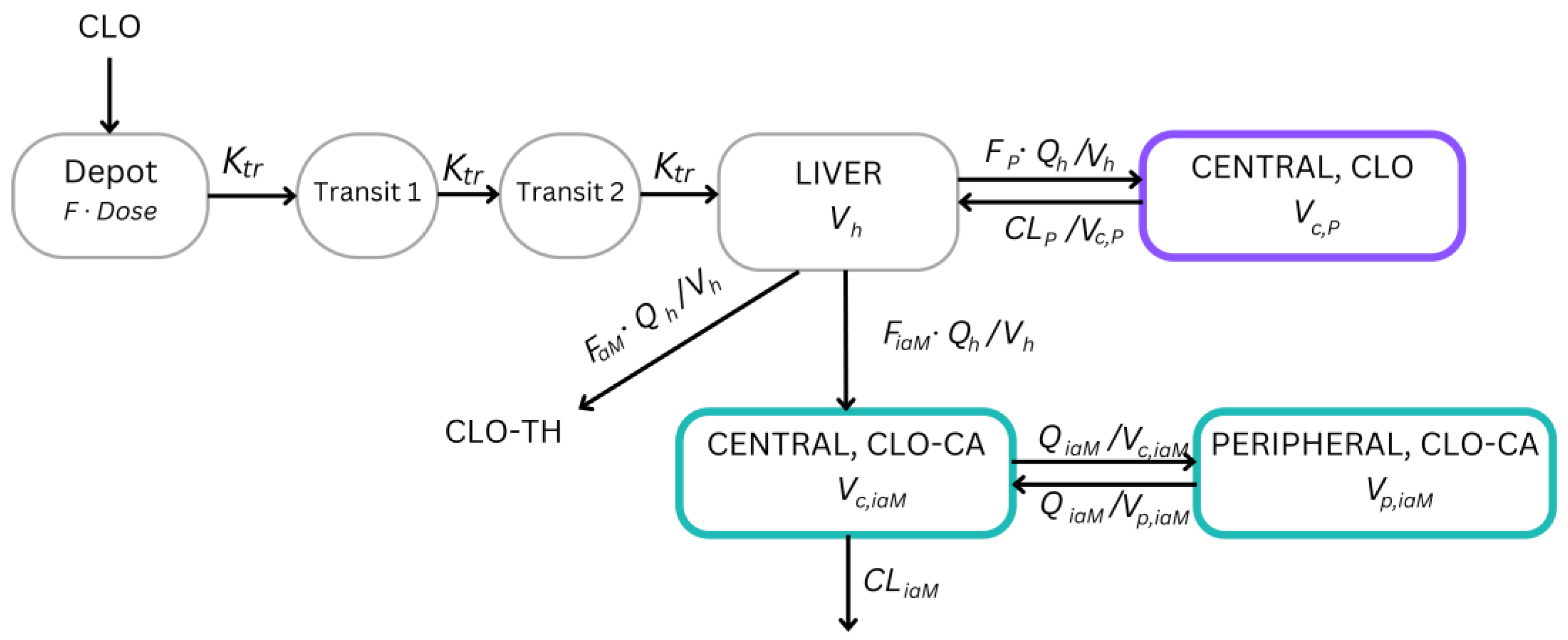 Pharmaceutics 16 00685 g001