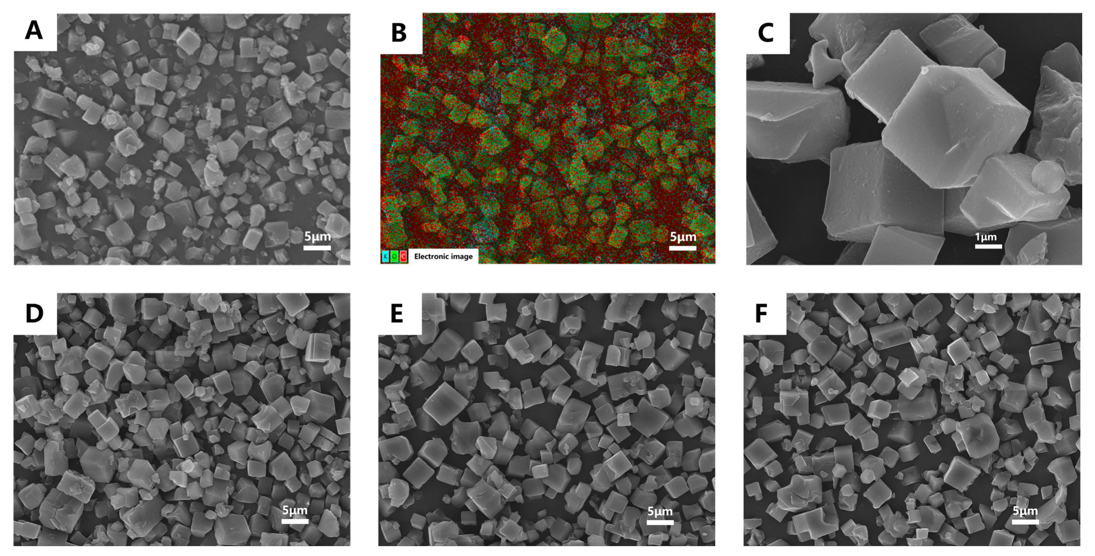 Pharmaceutics 17 00497 g003