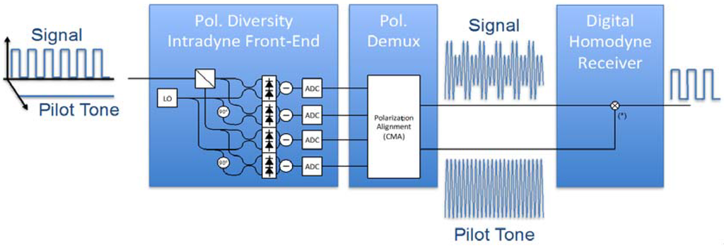 Photonics 01 00110 g006 1024