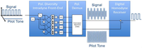 Photonics 01 00110 g006 200